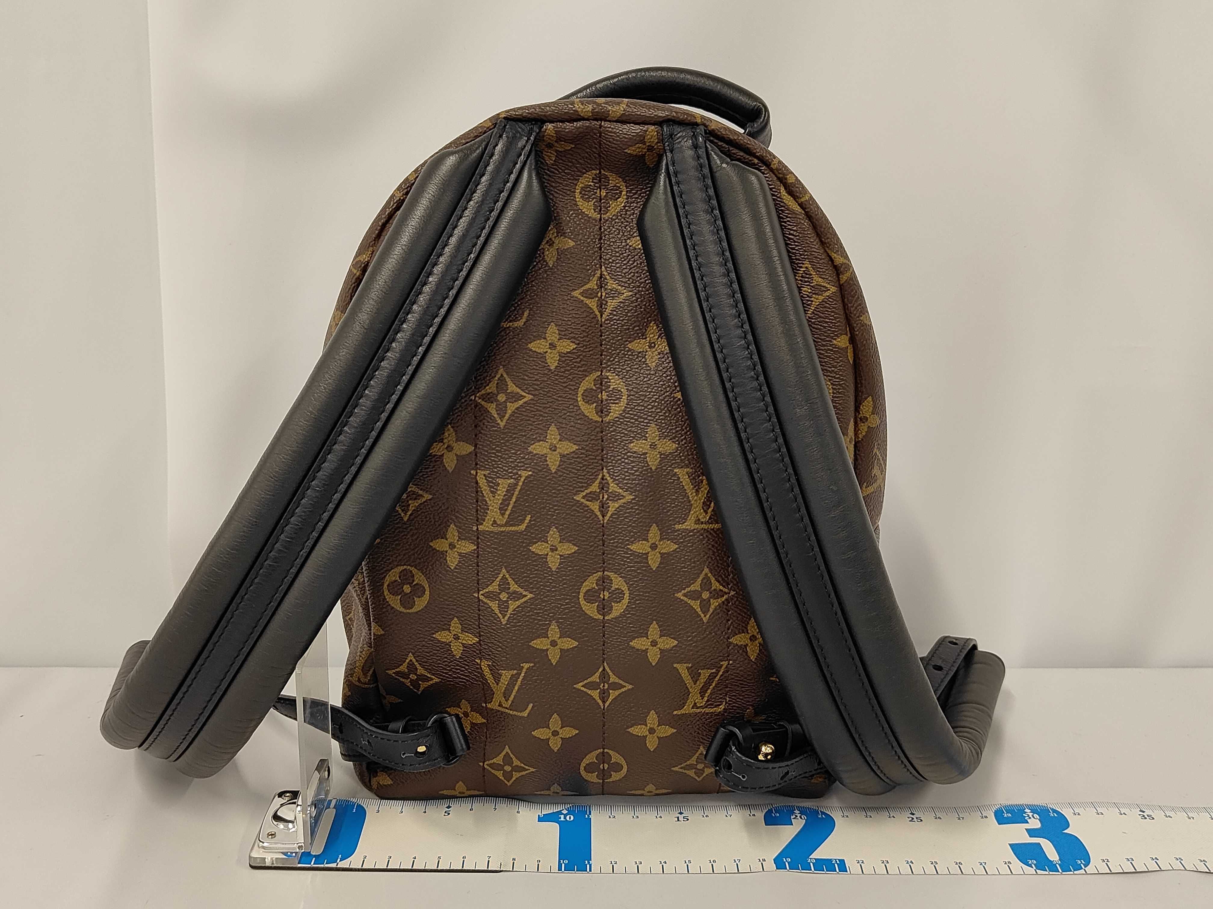Monogram Palm Springs PM Backpack M41560 RFID Backpack — view 2