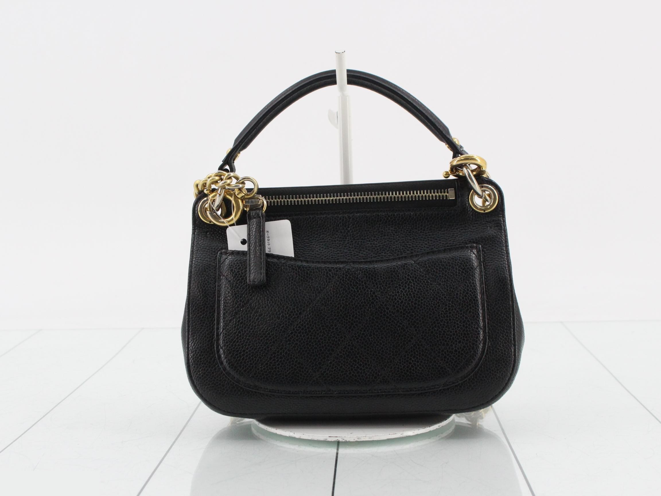 Caviar skin (bag) / handbag — view 2