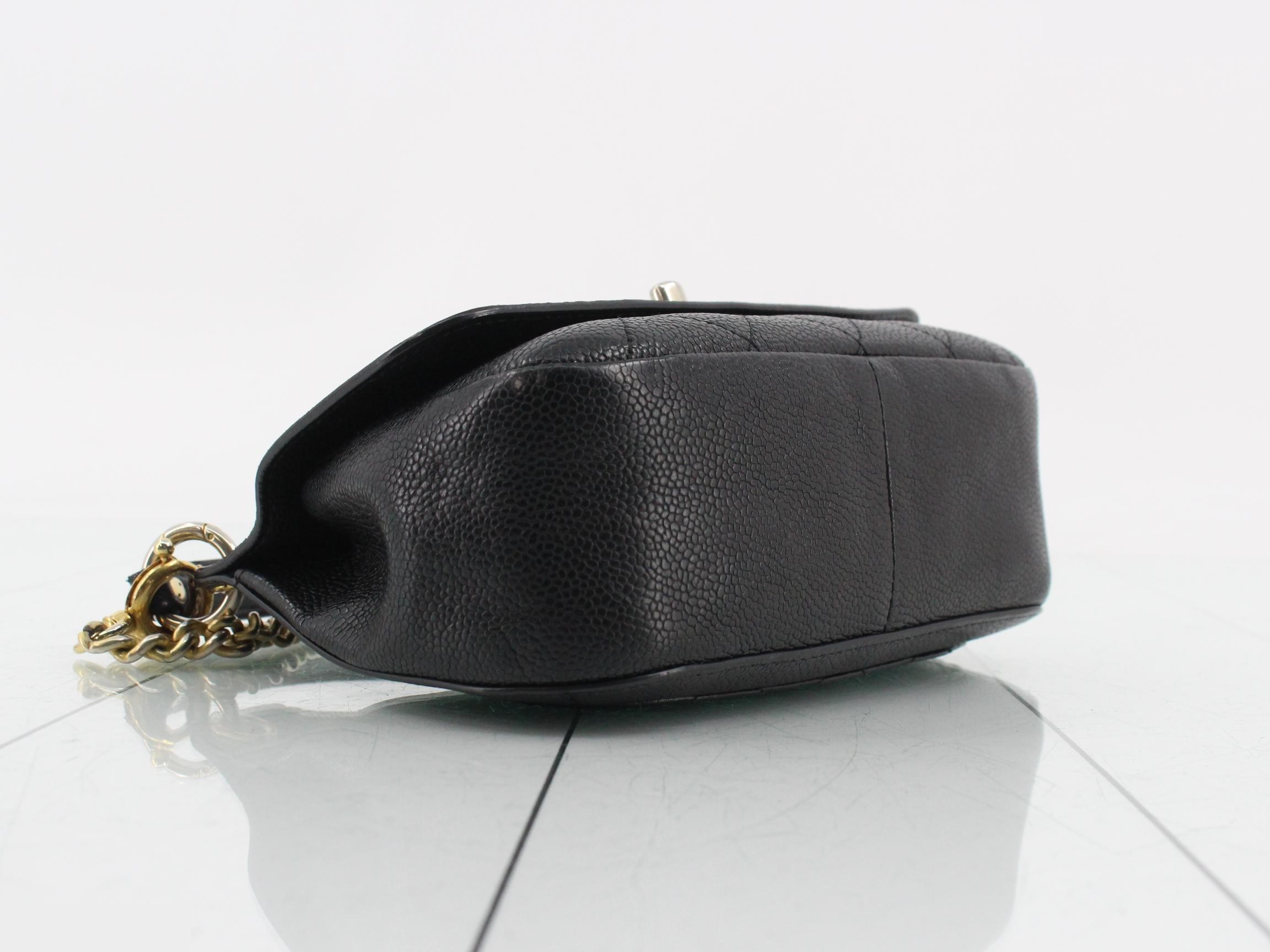 Caviar skin (bag) / handbag — view 5