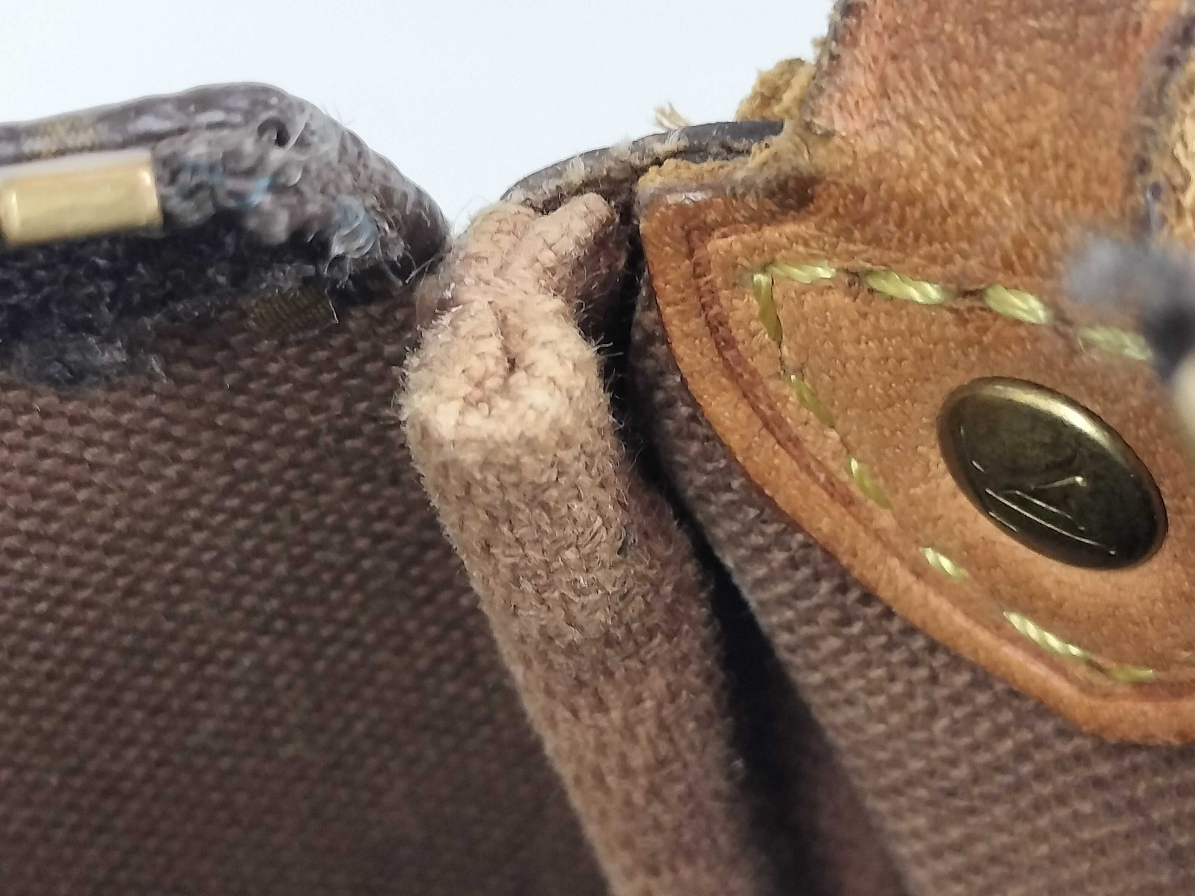 Monogram Pochette Eva Shoulder Bag — view 9