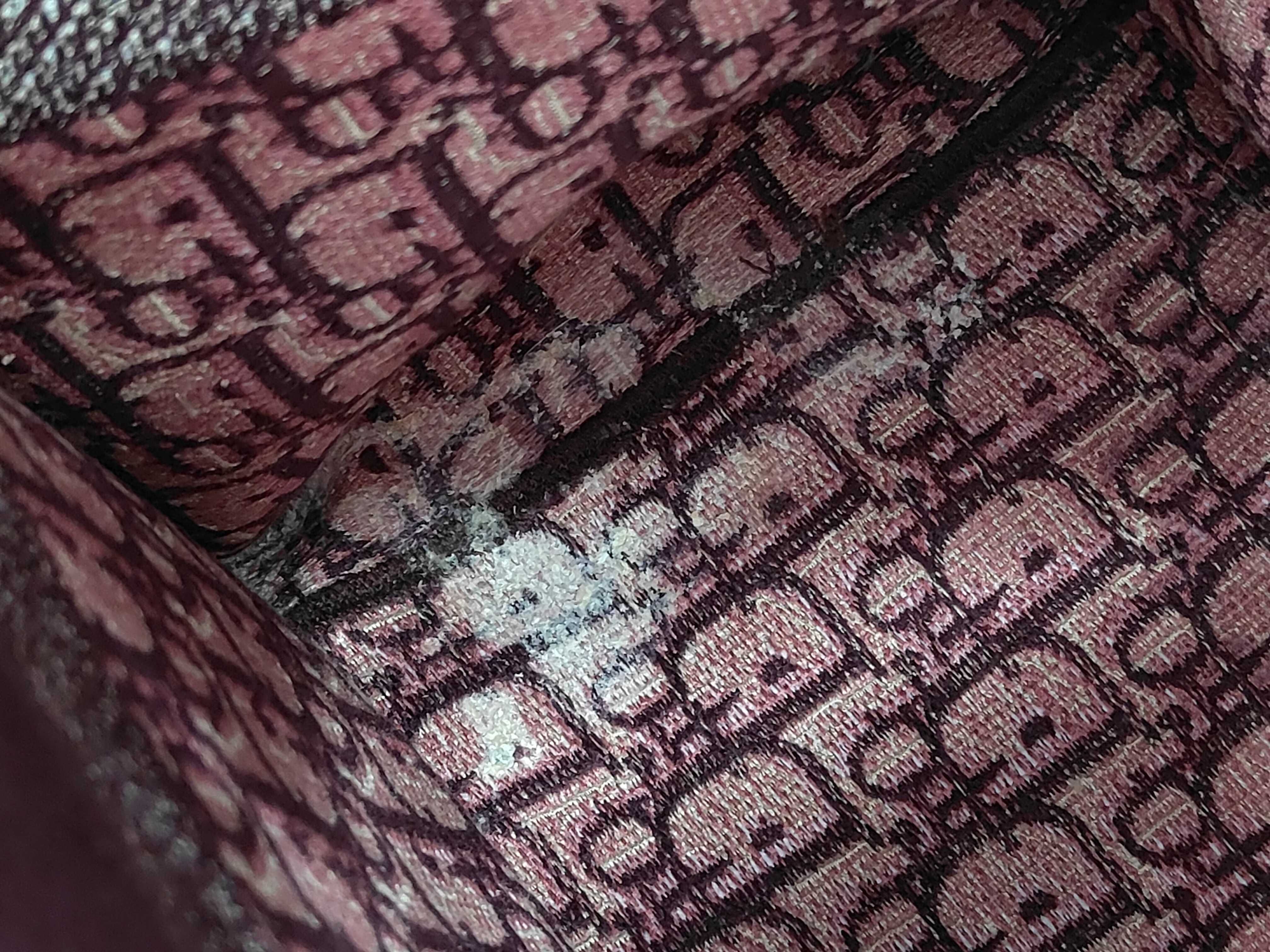 Lady Dior Trotter Tote Bag — view 10