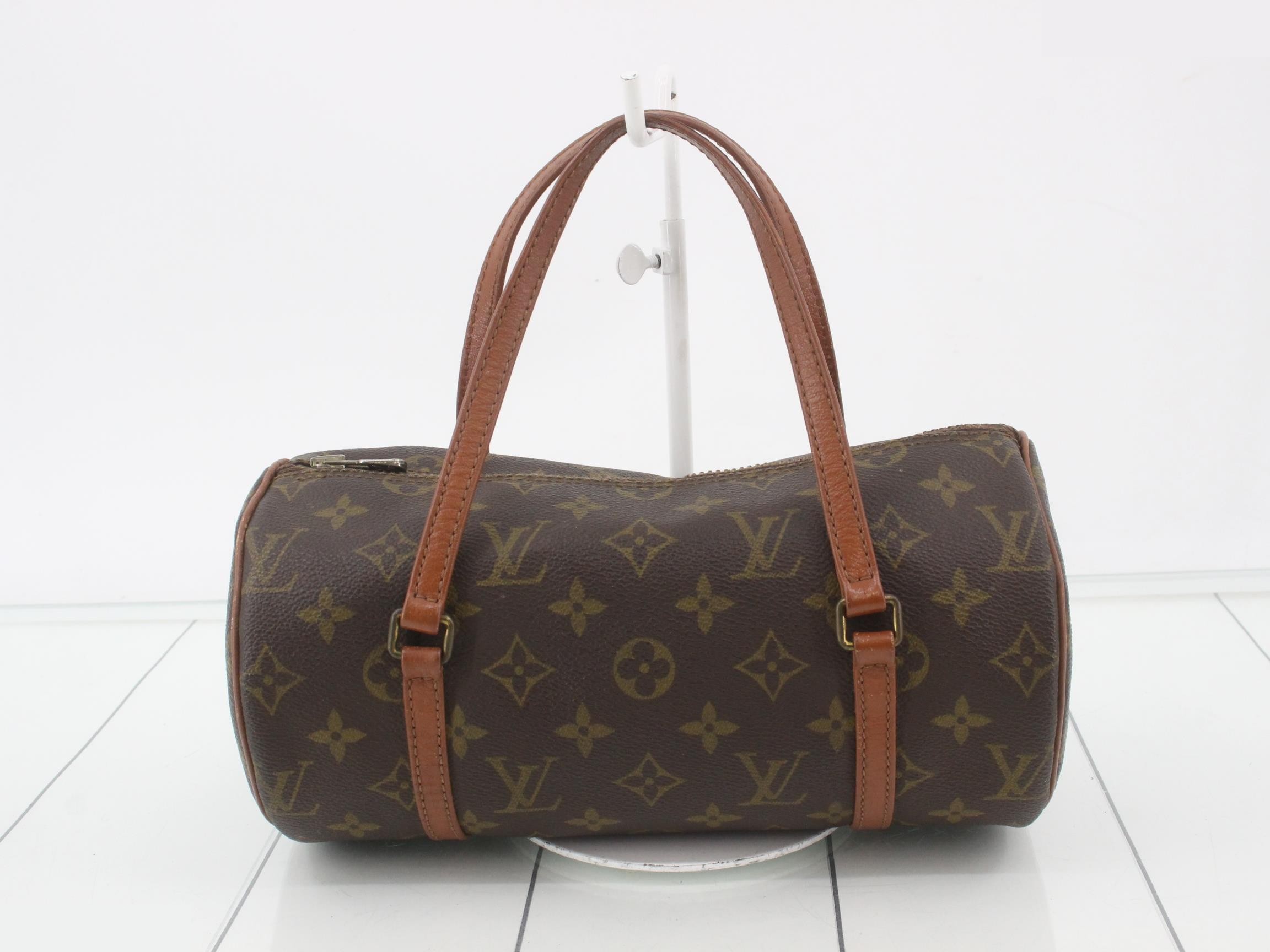 Papillon old