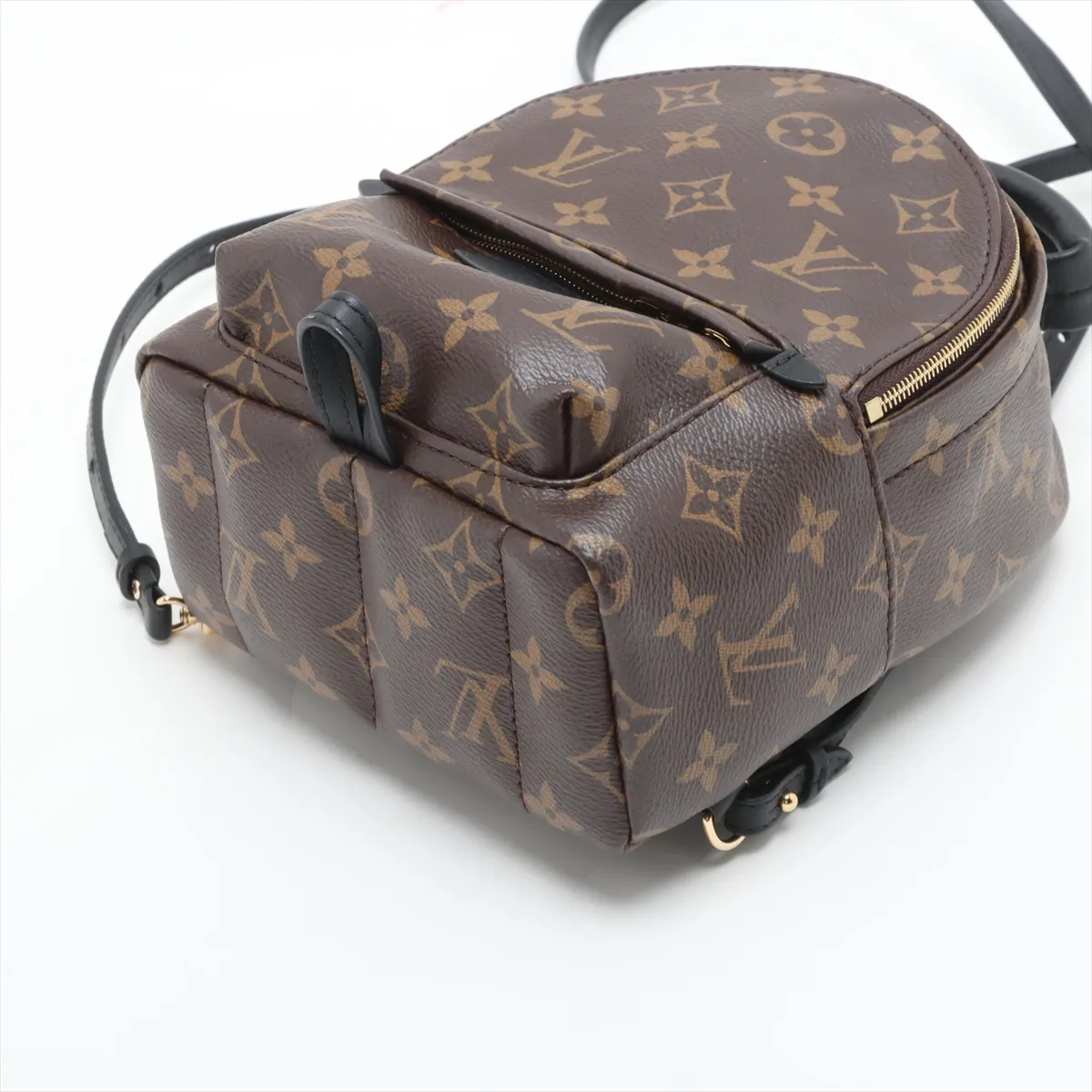 Monogram Palm Springs Backpack MINI M44873 Brown (Parts missing, RFID detected) — view 3