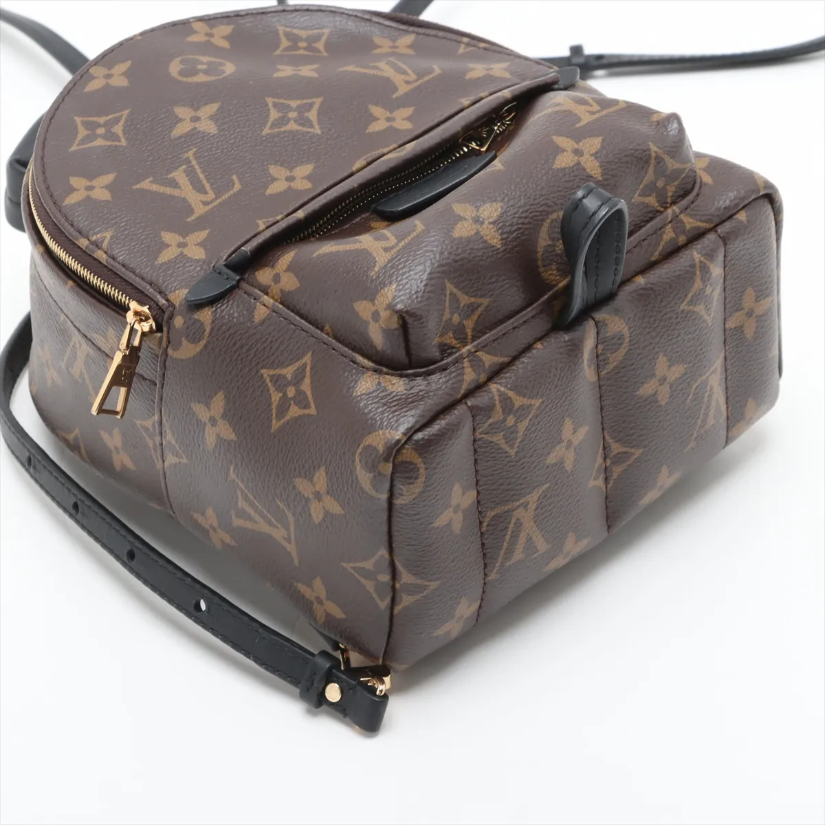 Monogram Palm Springs Backpack MINI M44873 Brown (Parts missing, RFID detected) — view 4