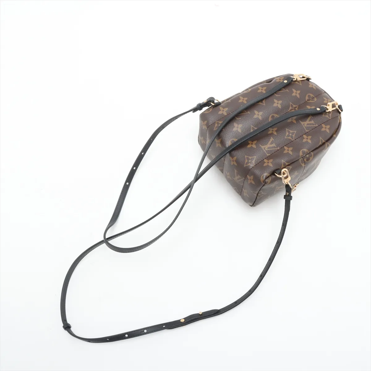 Monogram Palm Springs Backpack MINI M44873 Brown (Parts missing, RFID detected) — view 5
