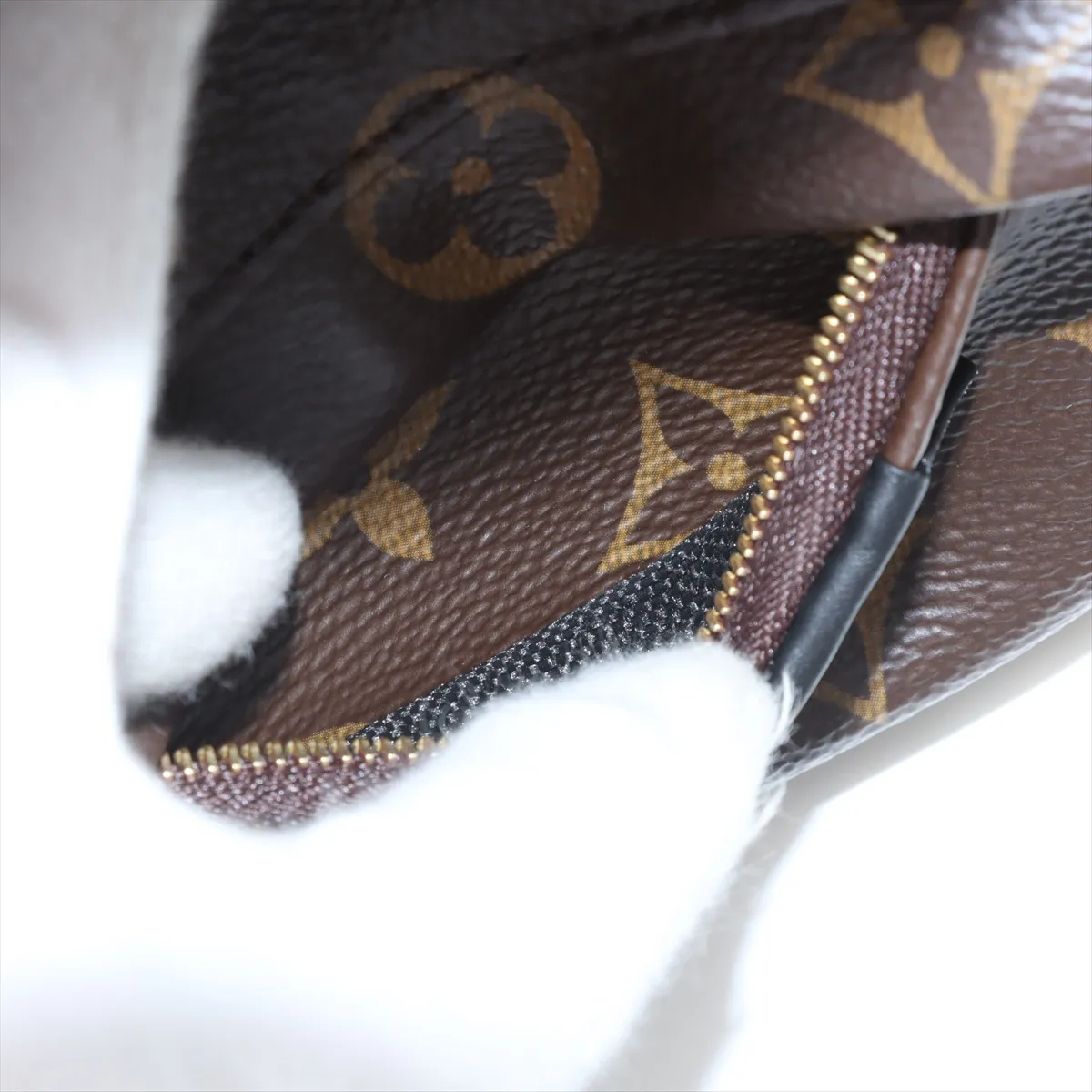 Monogram Palm Springs Backpack MINI M44873 Brown (Parts missing, RFID detected) — view 9