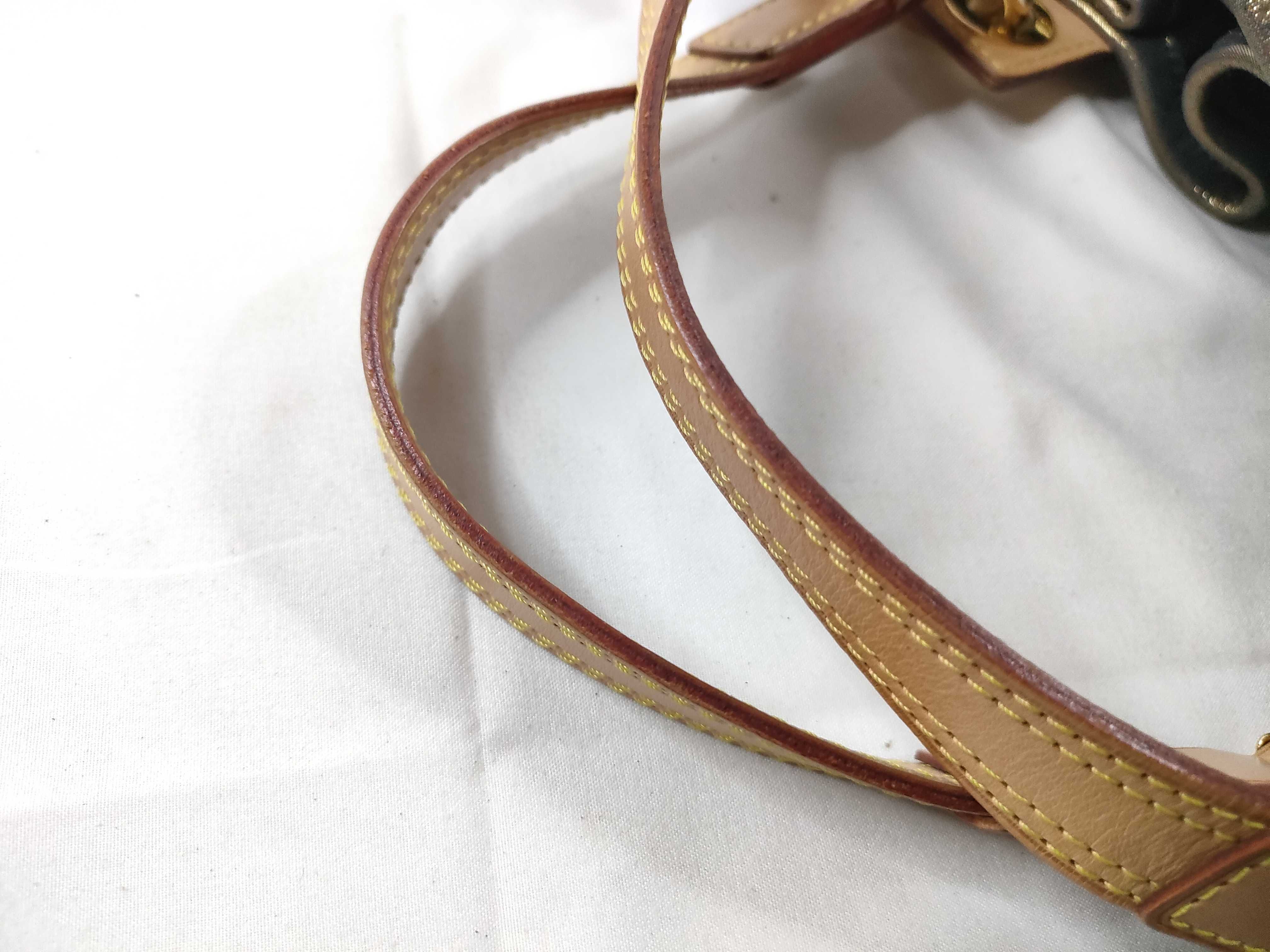 Monogram Louis Vuitton Brown Monogram Irene M47927 Handbag — view 8