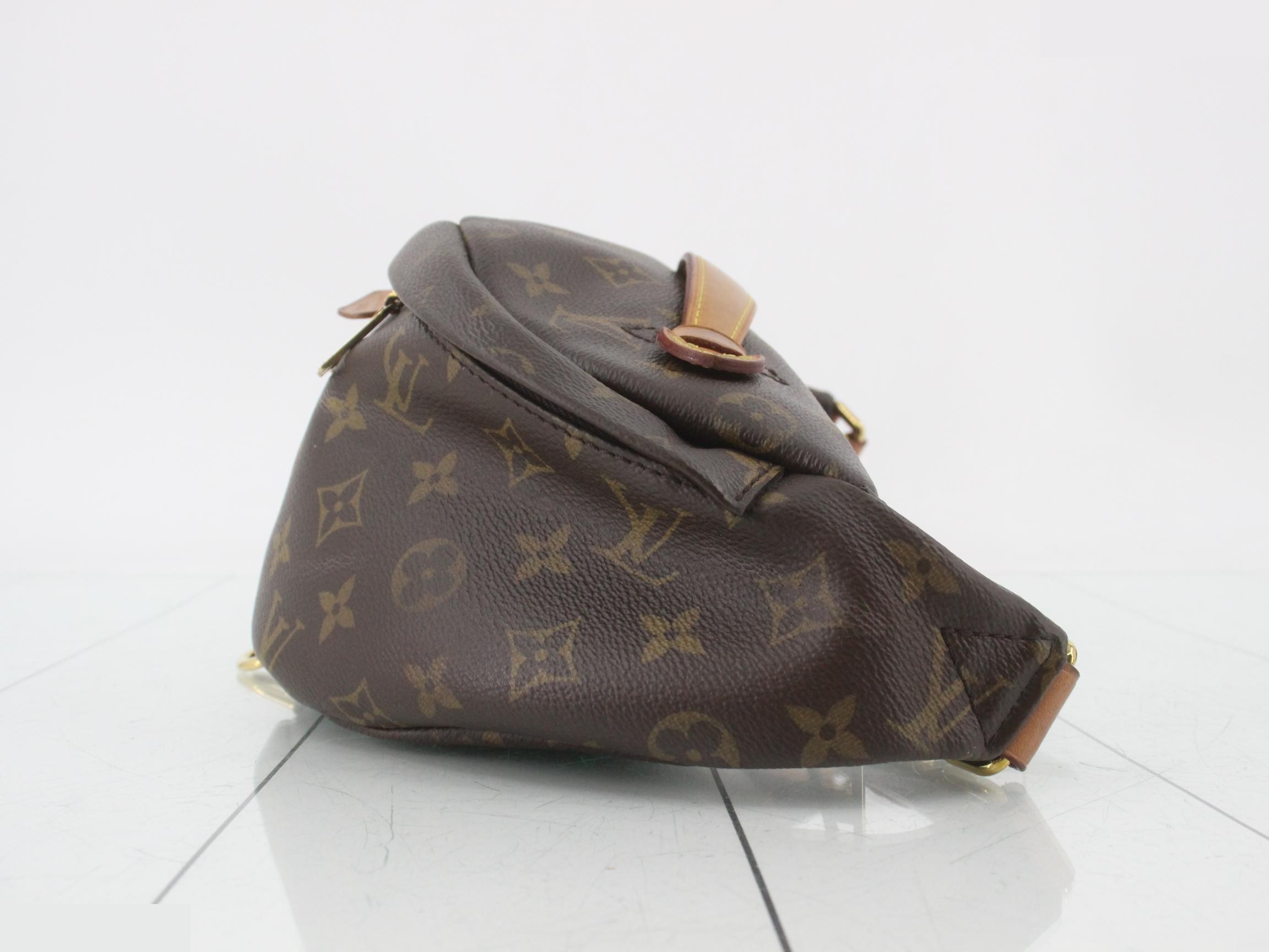 Monogram Bum Bag Waist Bag — view 3
