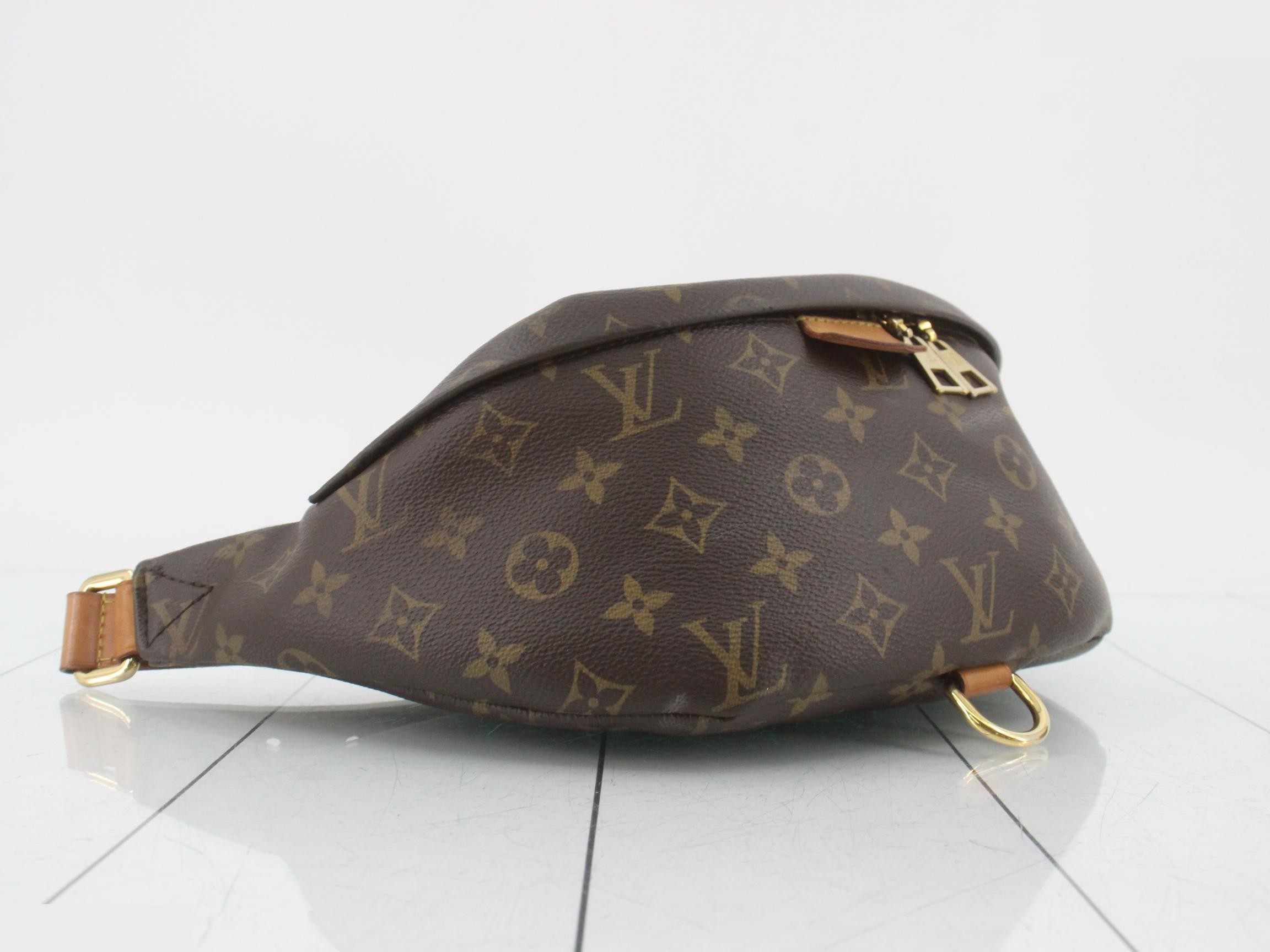 Monogram Bum Bag Waist Bag — view 5