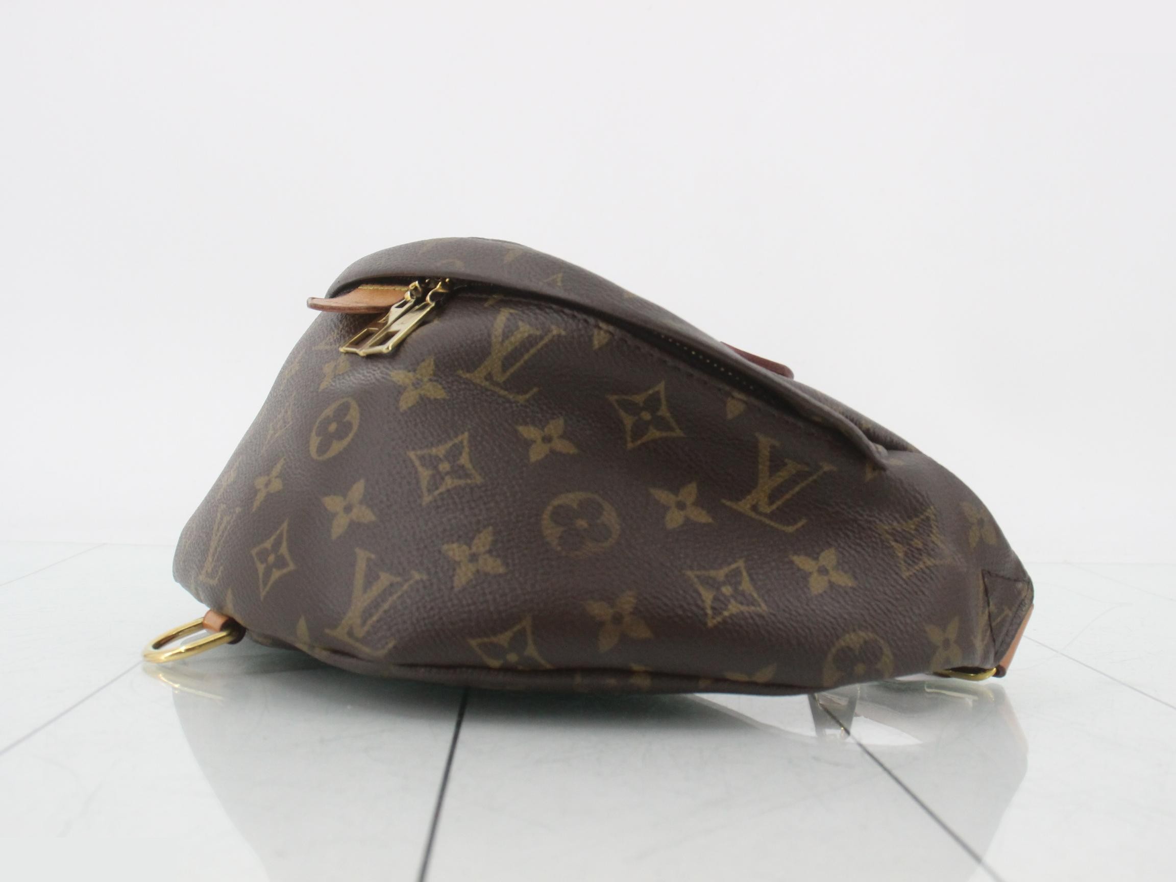 Monogram Bum Bag Waist Bag — view 6