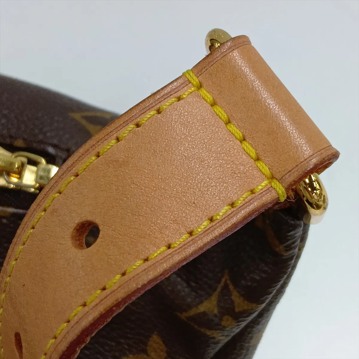 Monogram Bumbag M43644 MI4220 Brown — view 9