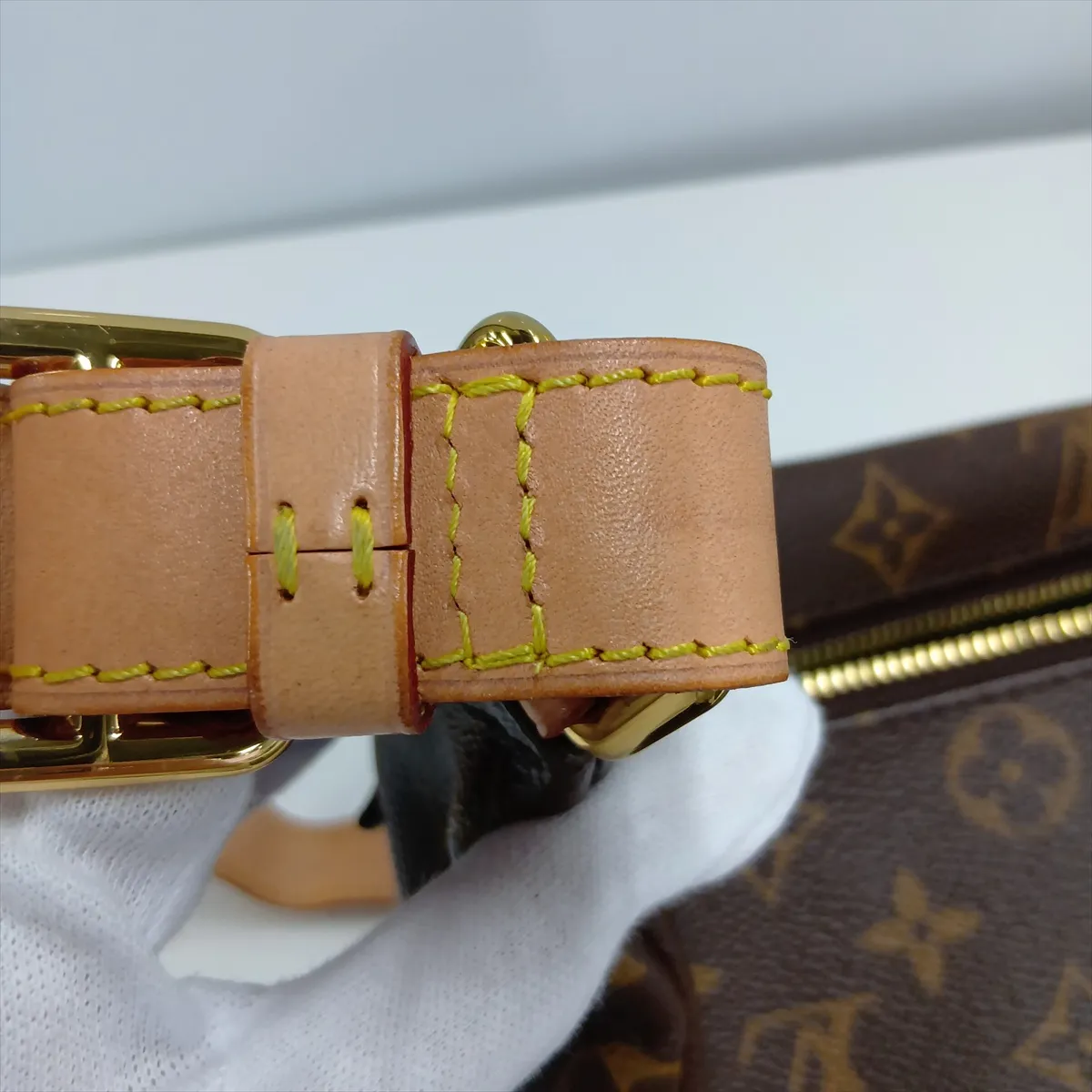 Monogram Bumbag M43644 MI4220 Brown — view 10