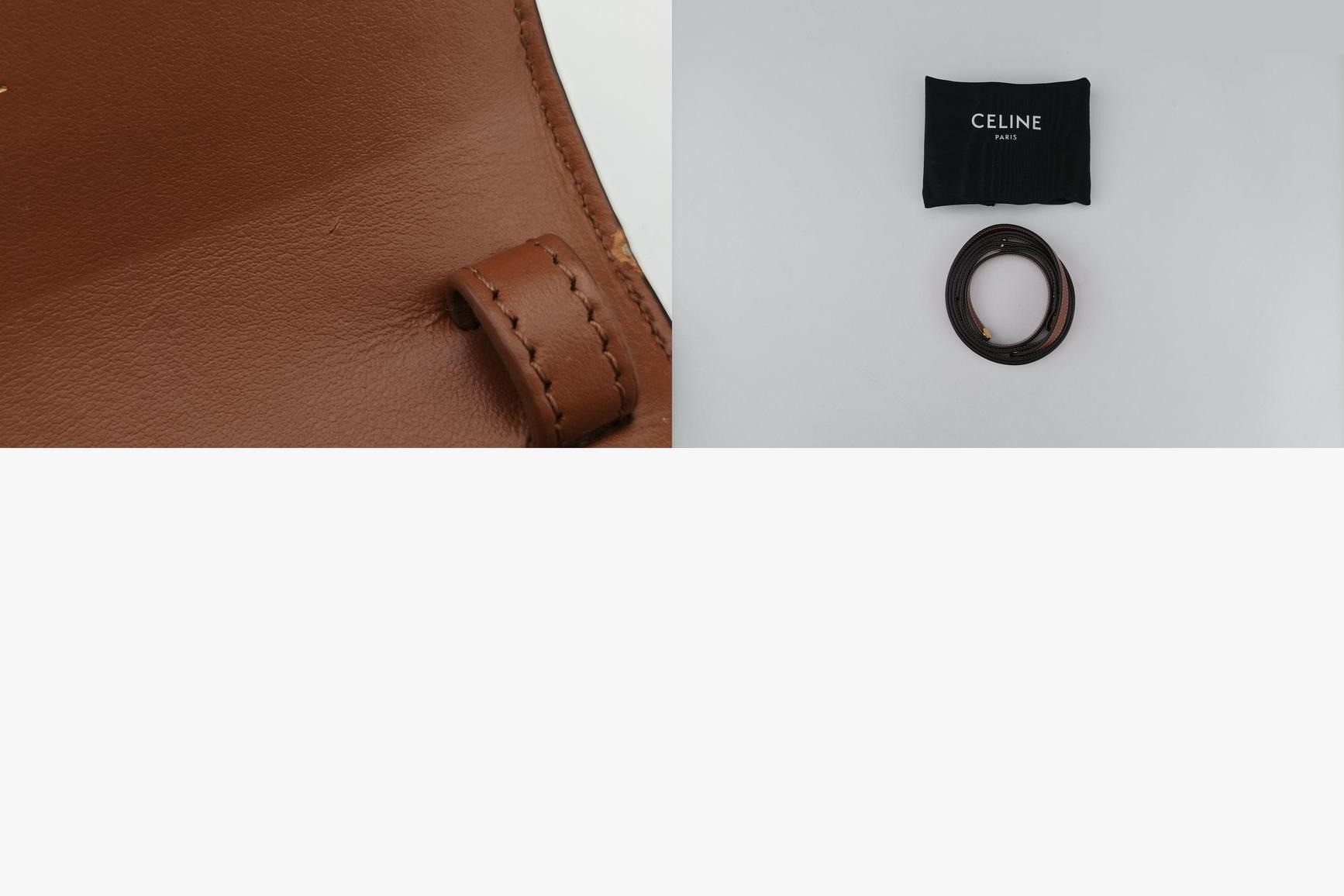 Mini Triomphe PVC Coated Canvas Brown — view 11