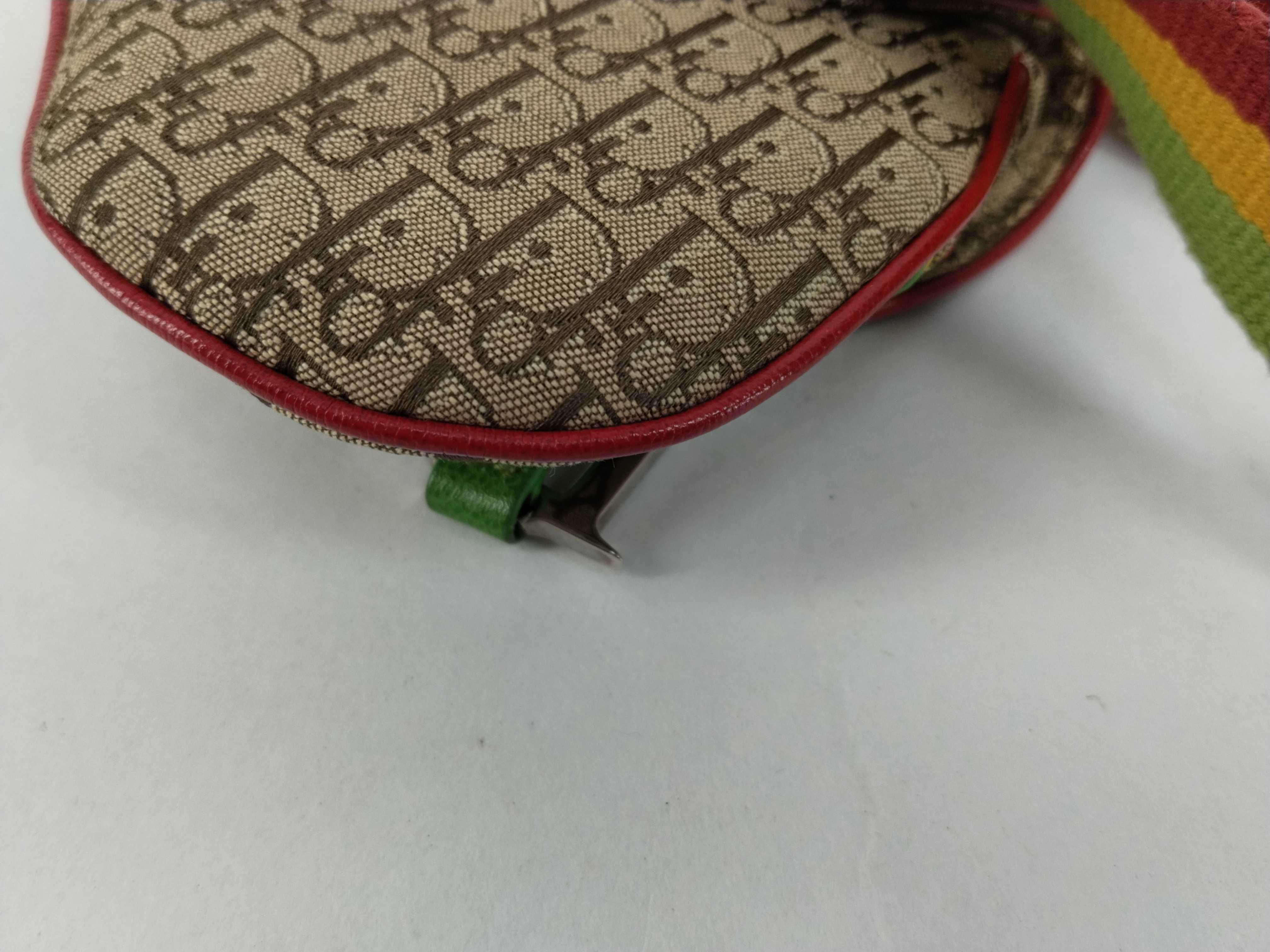 Trotter Dior Saddle Bag Rasta Trotter Shoulder Bag — view 6