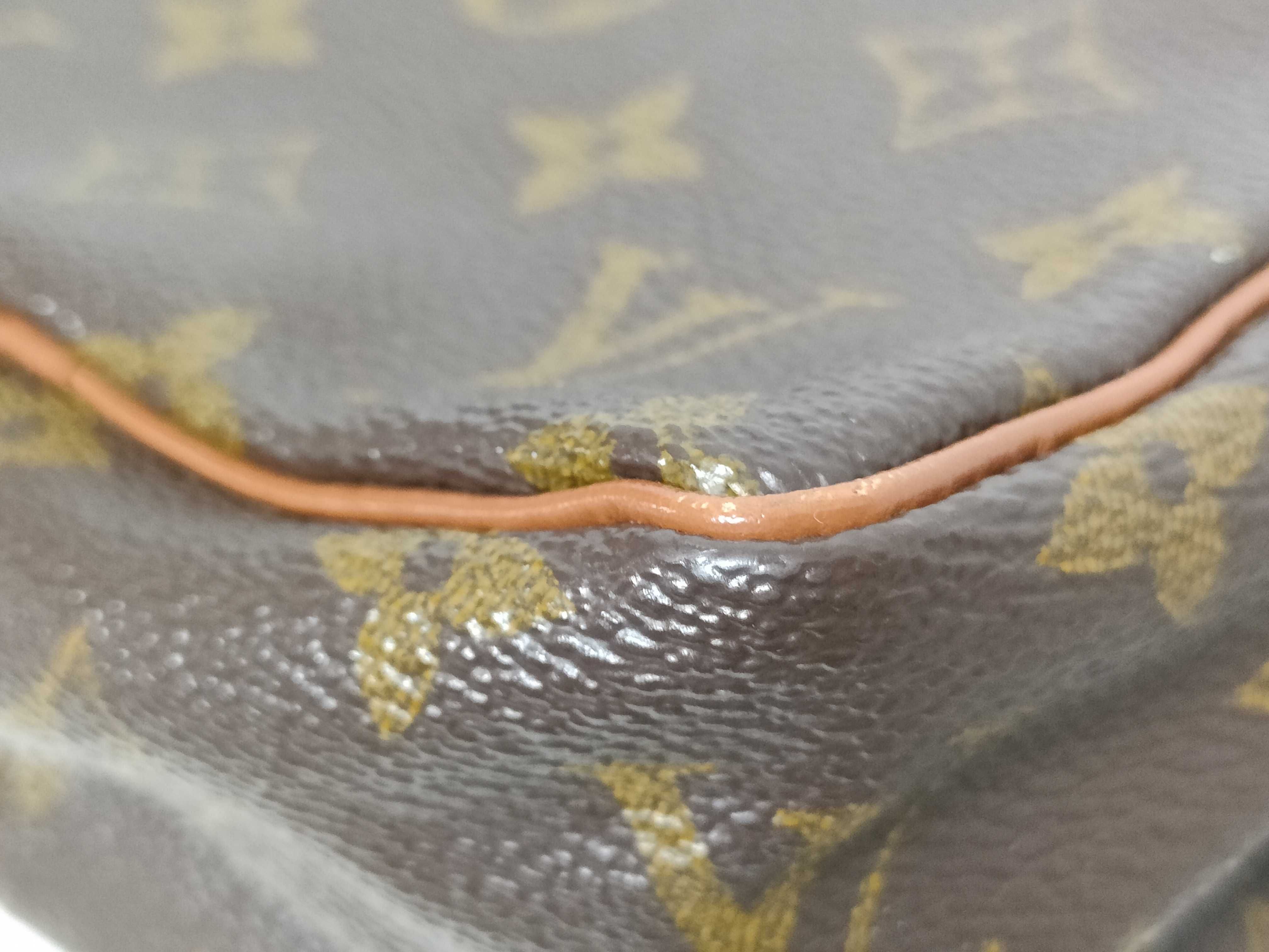 Monogram Old Amazon Shoulder Bag — view 6
