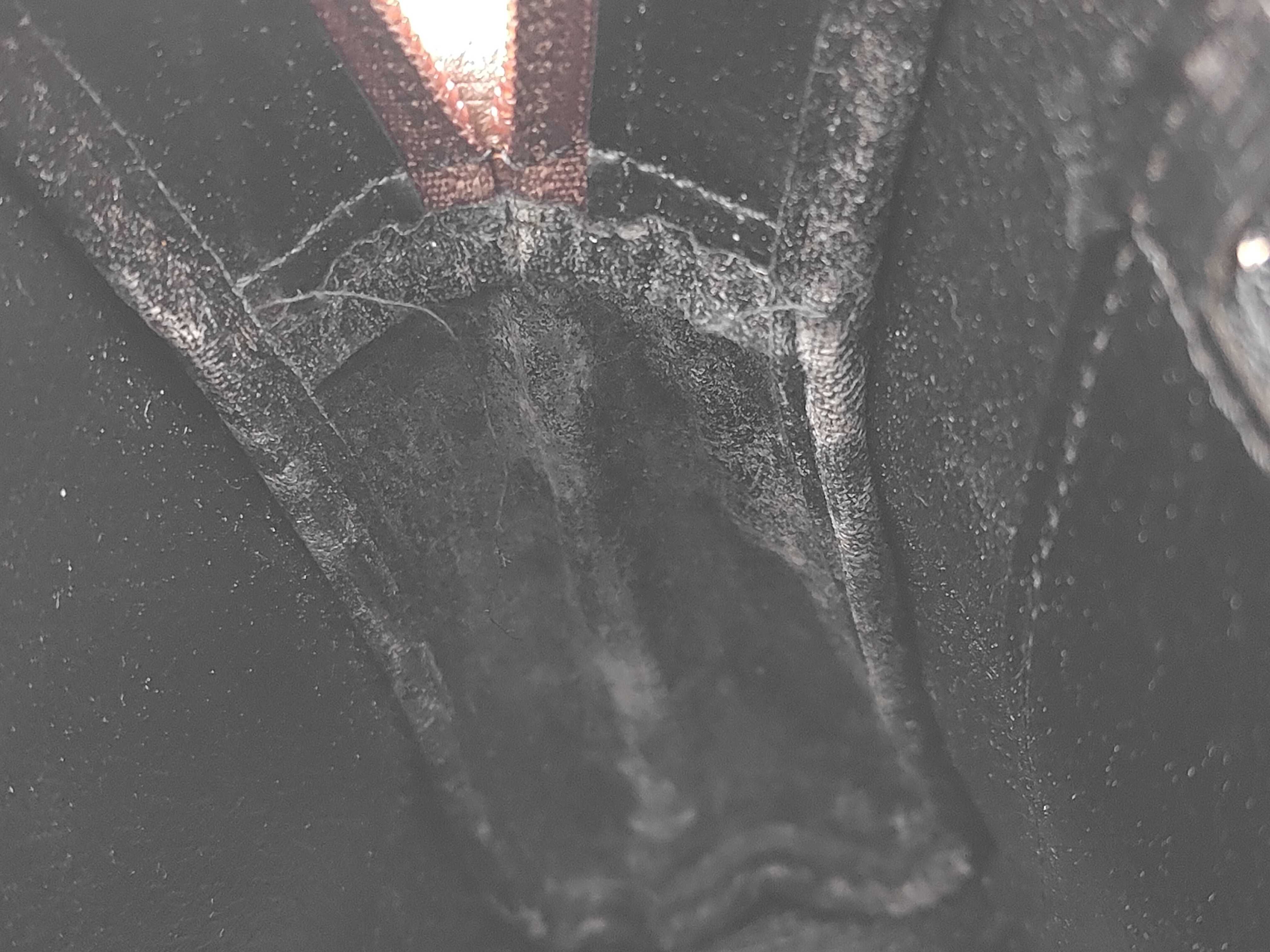 Second Bag — view 8