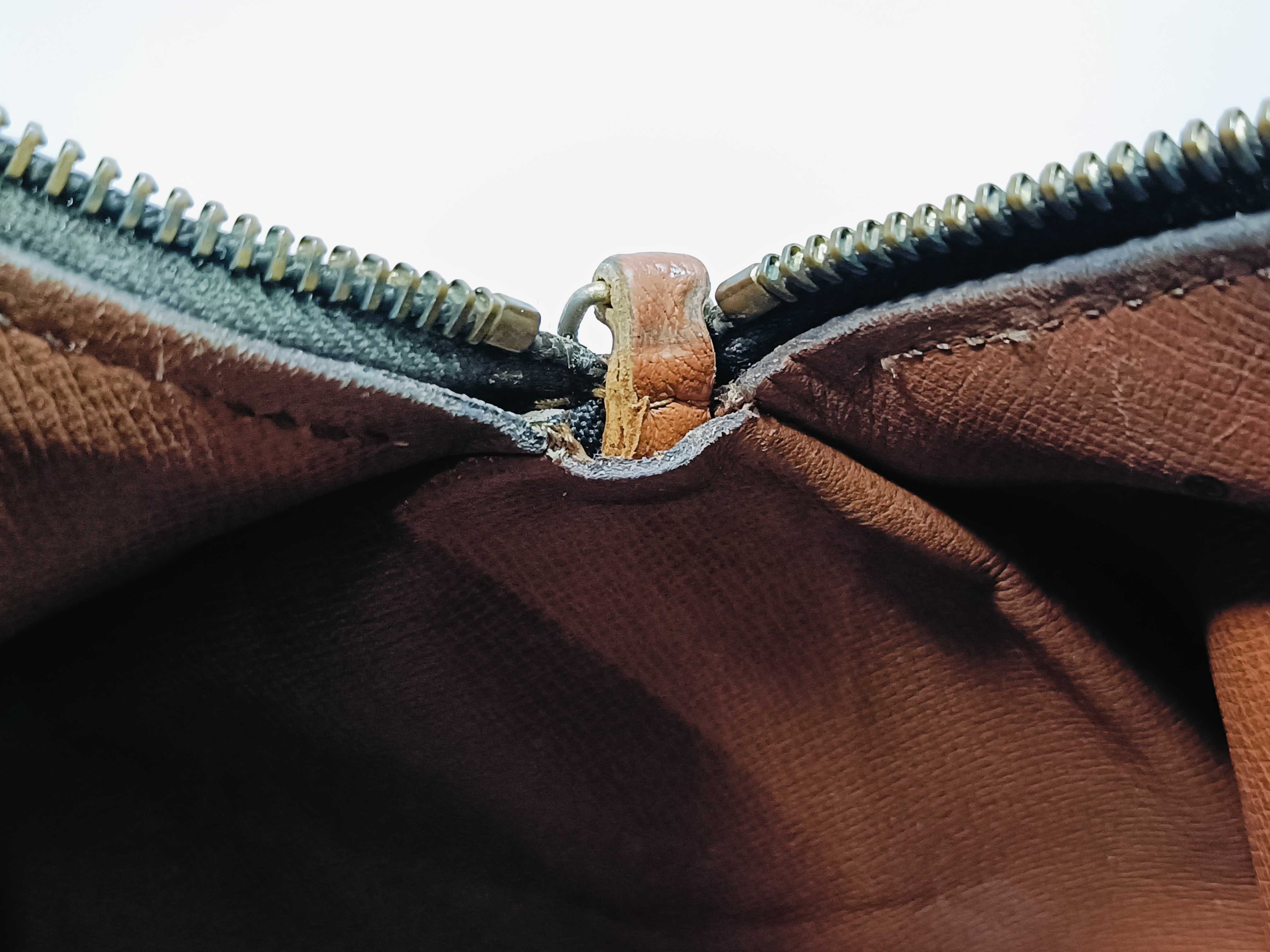 Monogram Old Papillon Handbag — view 10