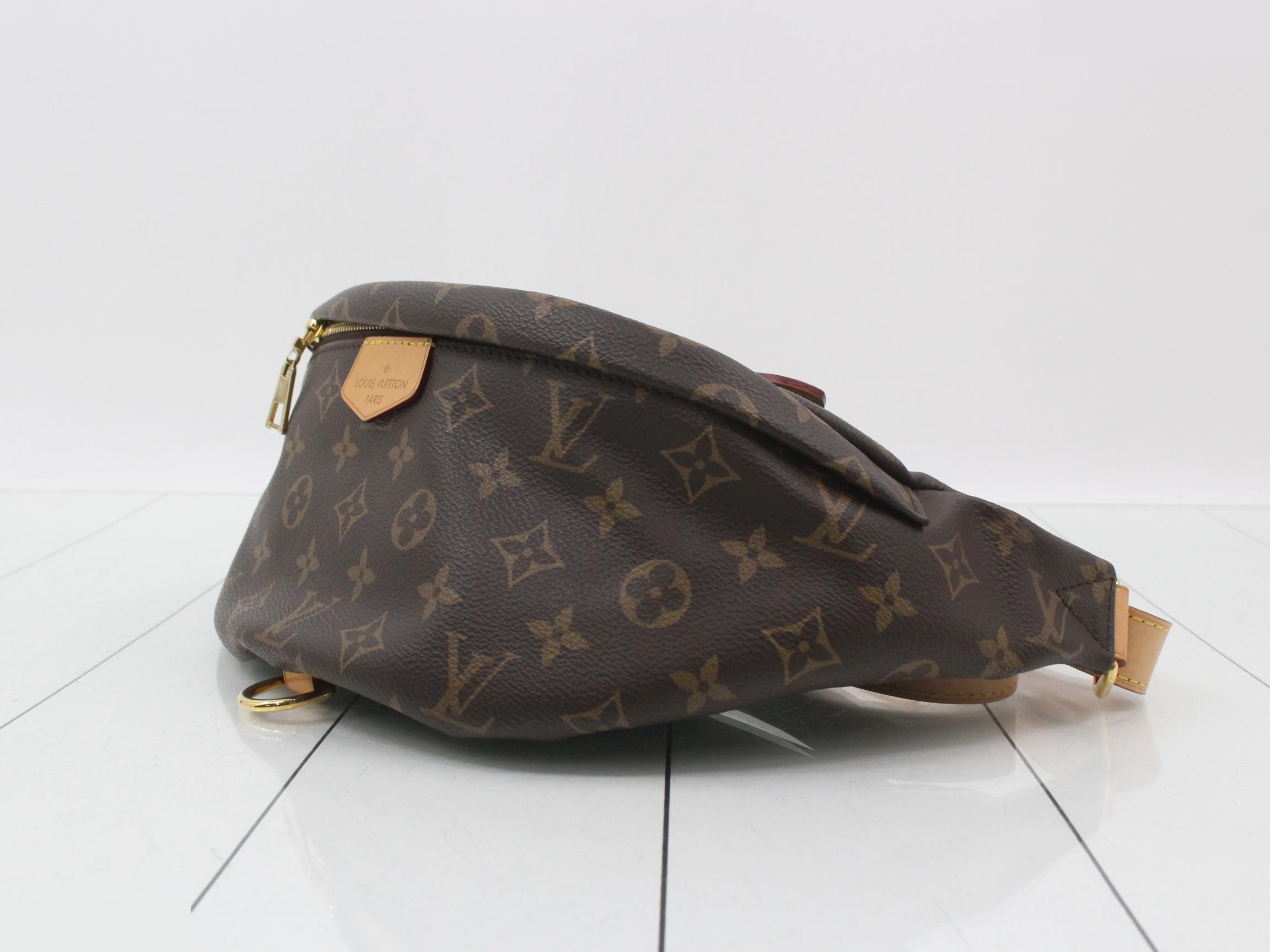 Monogram Bum Bag Waist Bag — view 6
