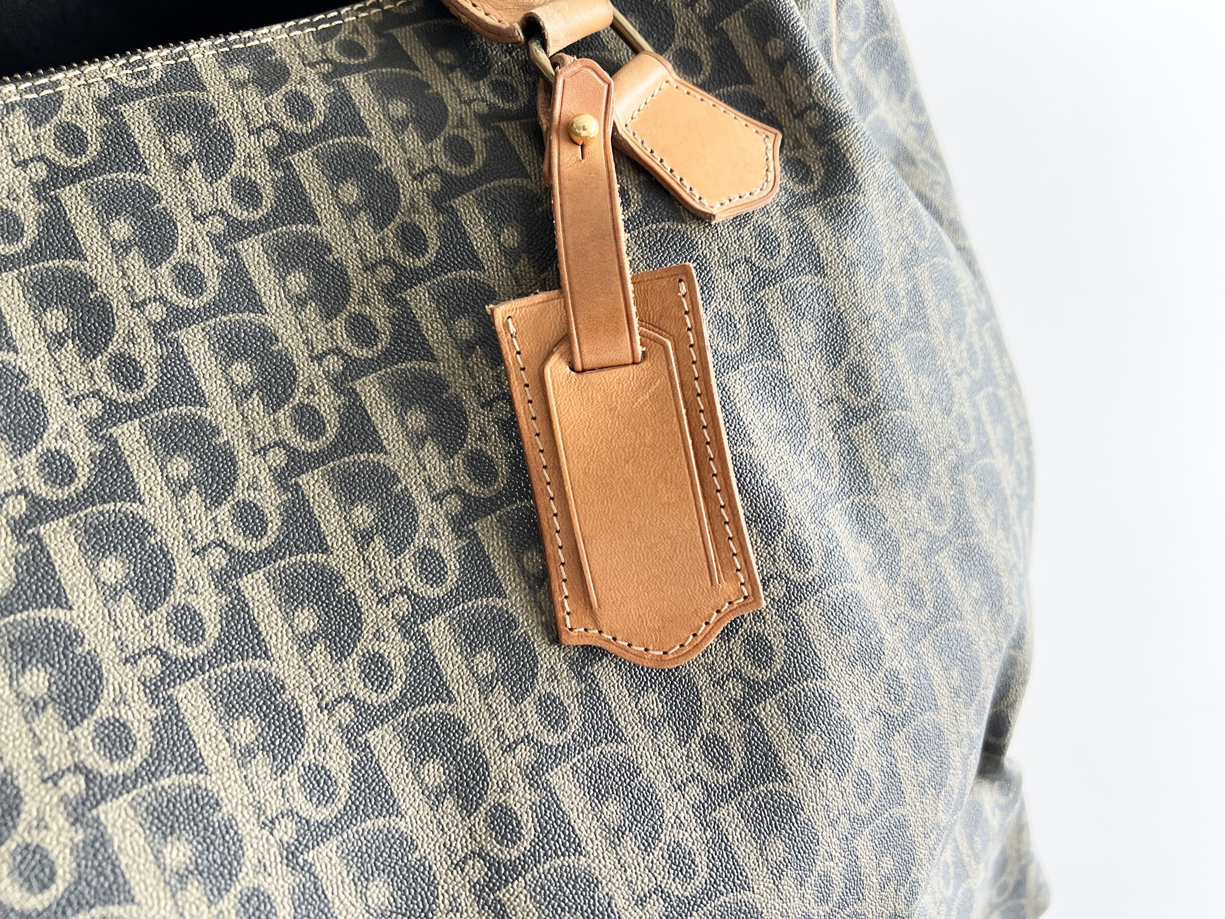 Trotter Oblique Leather Handbag Boston Bag — view 14
