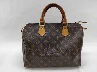 Monogram Louis Vuitton Speedy 30 Monogram Handbag