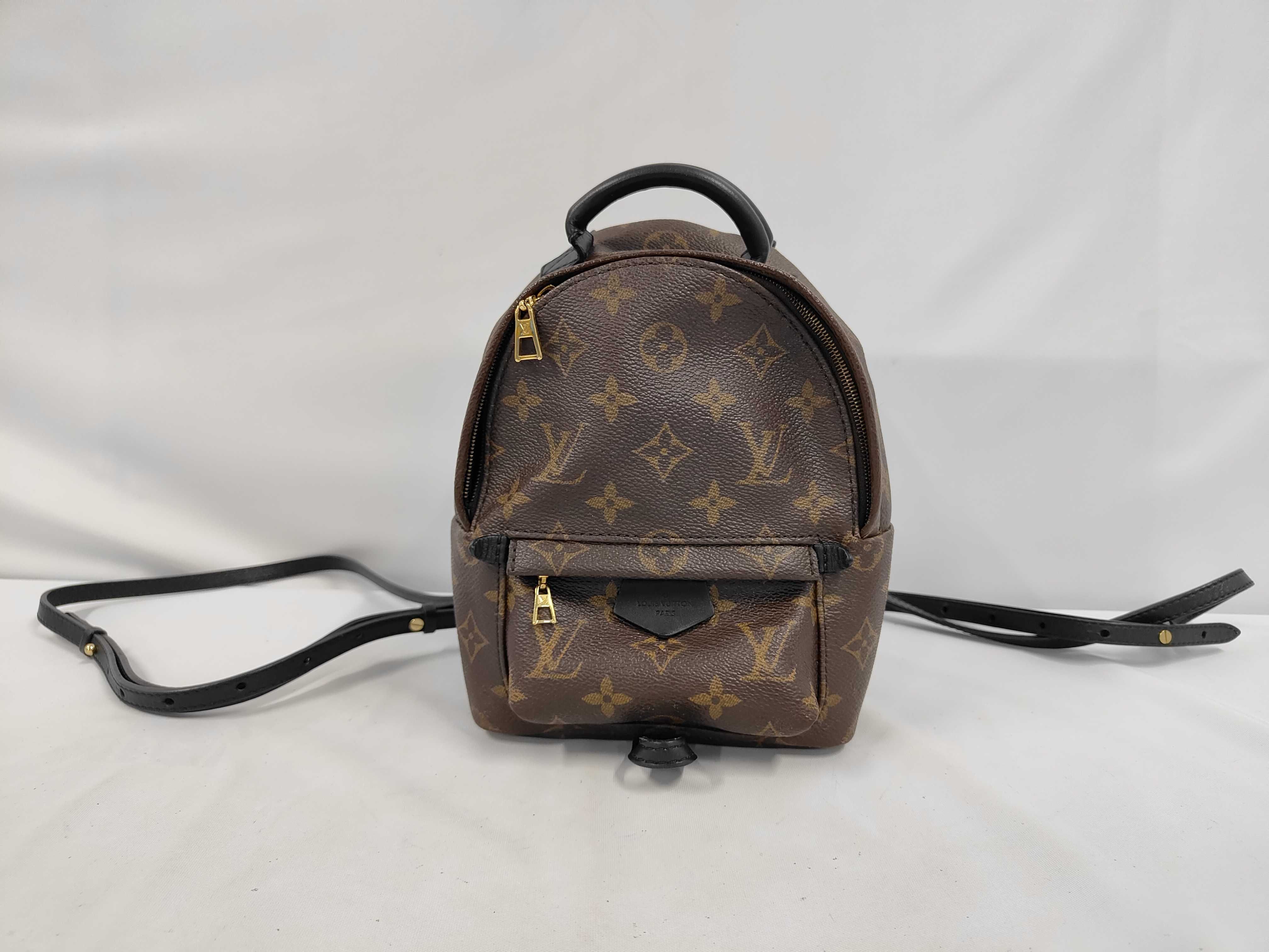 Monogram Palm Springs Backpack MINI (Rucksack)