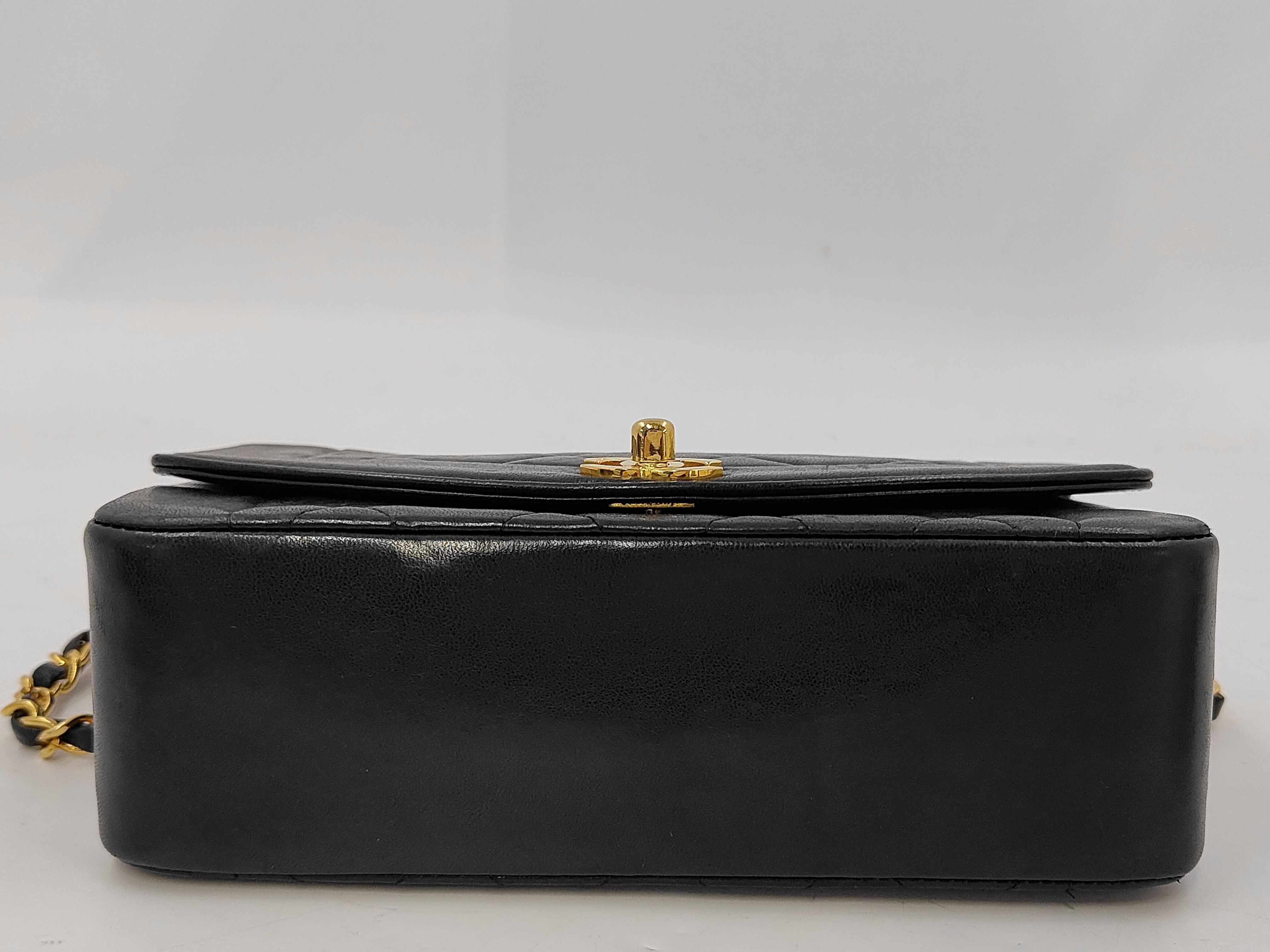 Diana 22 Lambskin Shoulder Bag — view 4