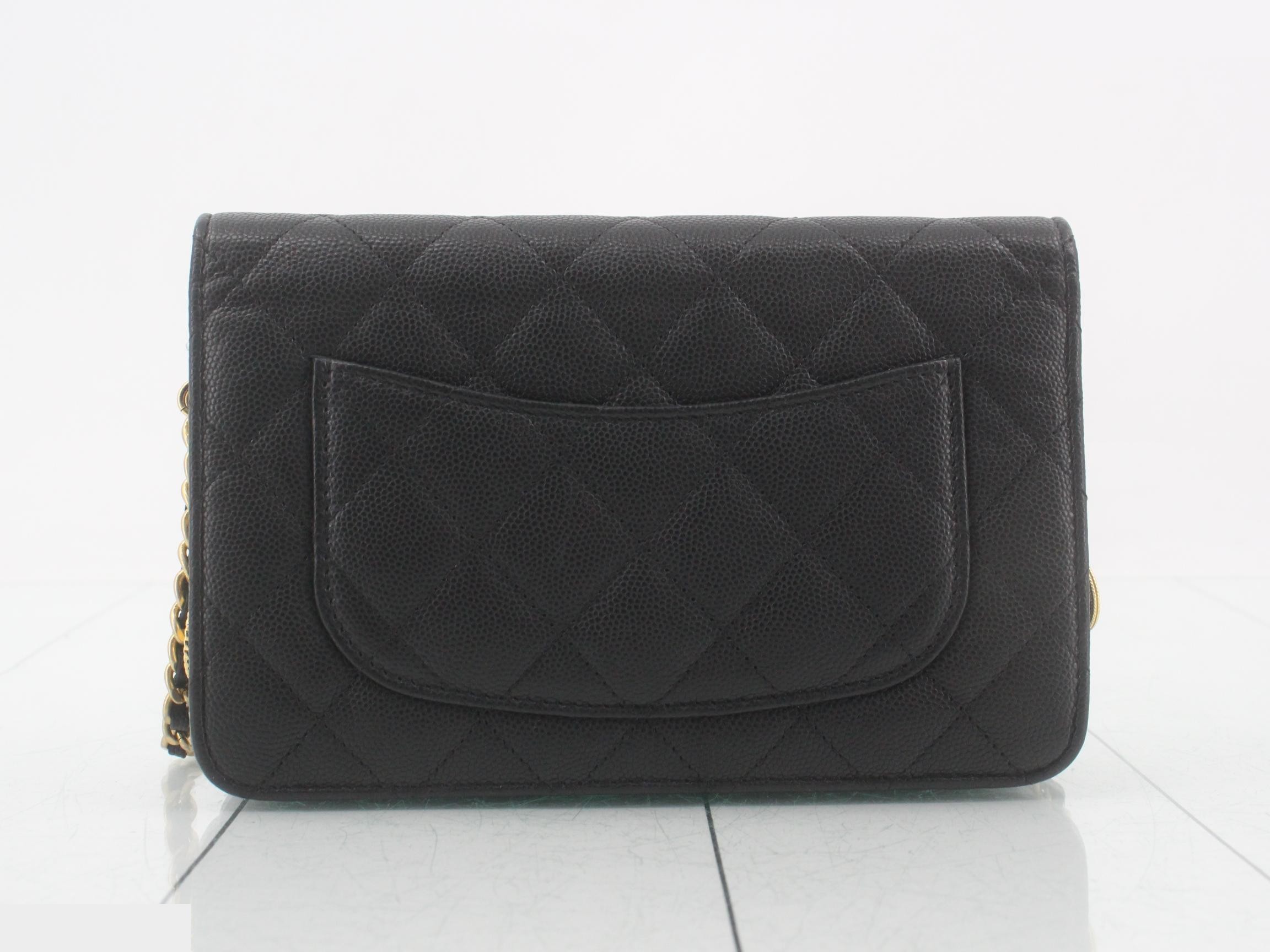 Caviar Skin Chain Wallet — view 2