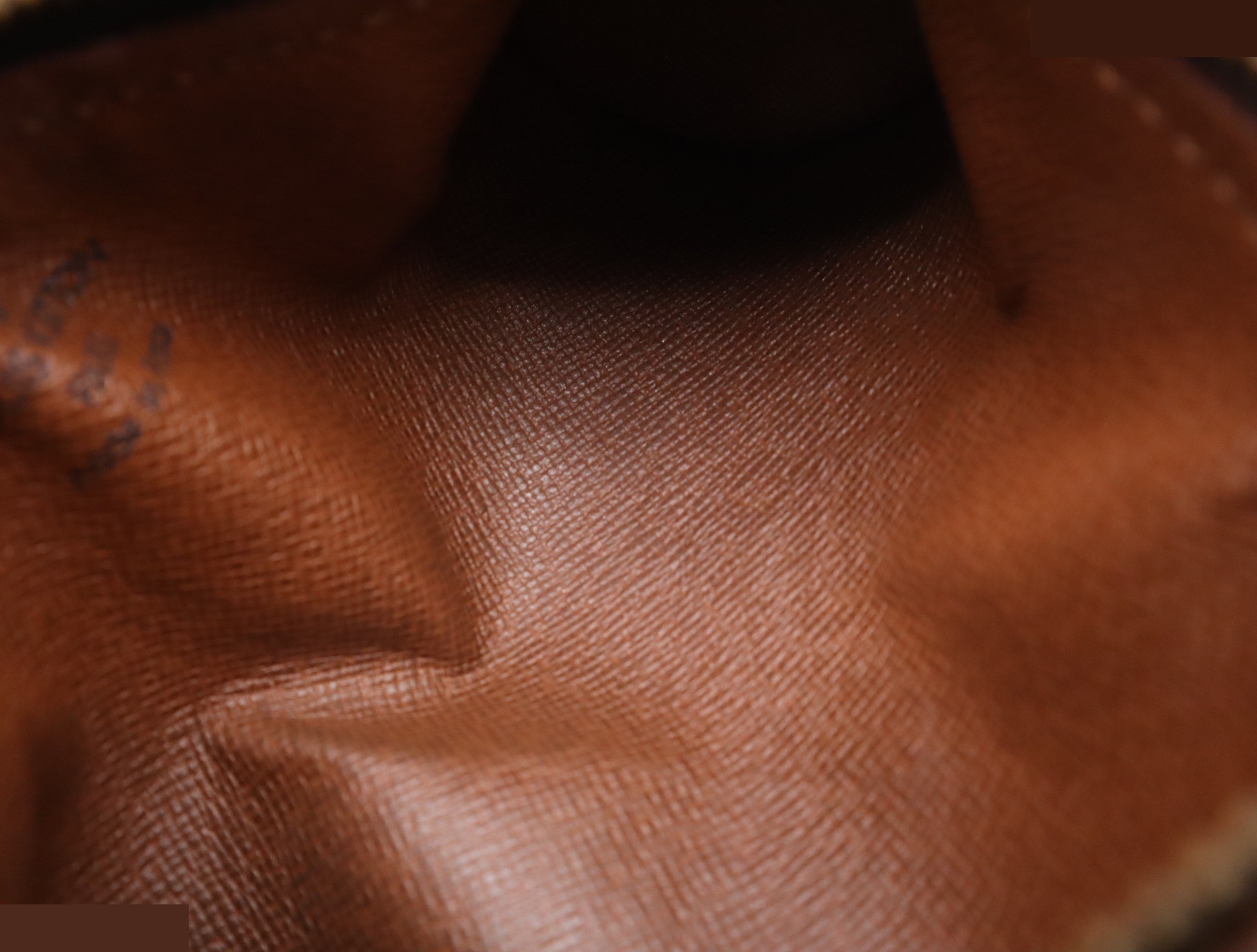 Papillon Pouch — view 7