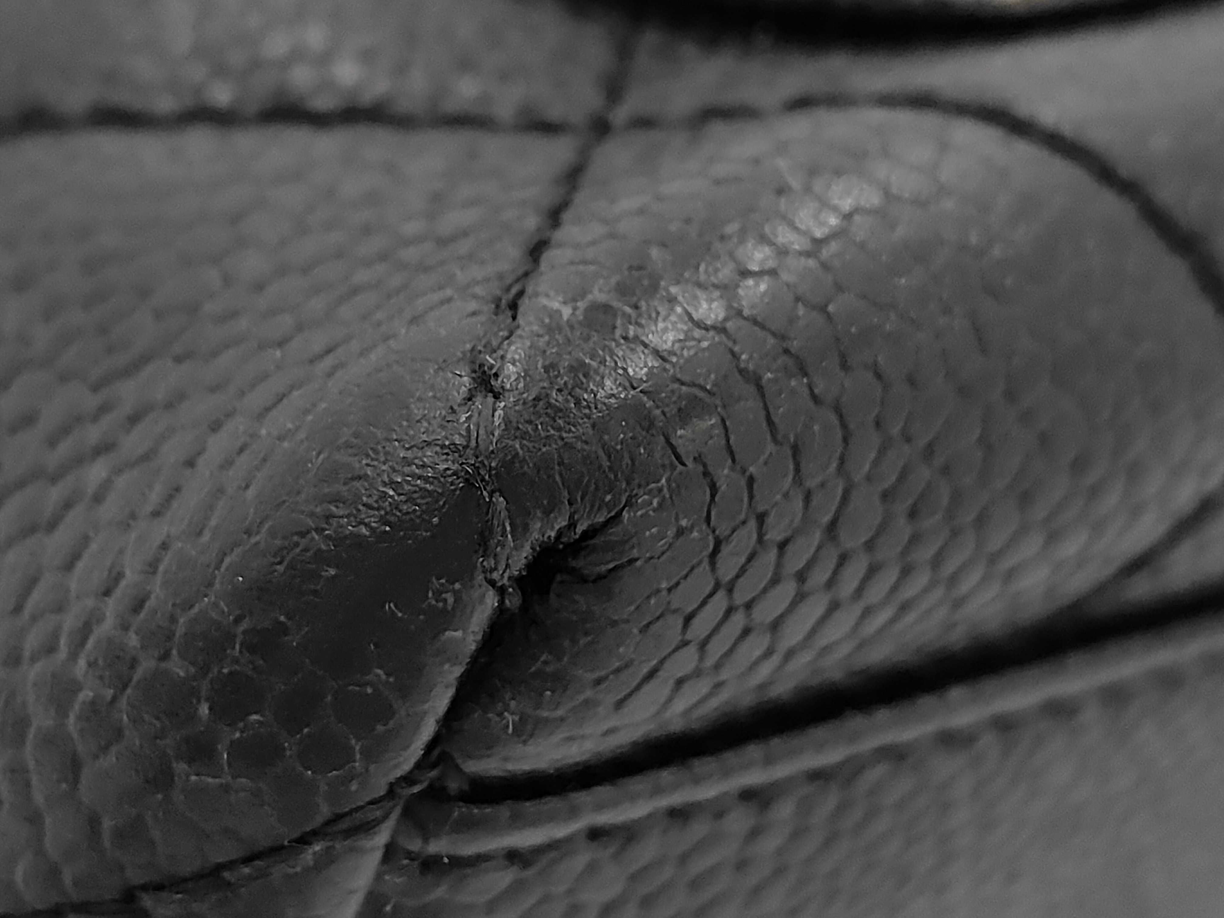 Matelassé Coco Mark Caviar Skin Handbag — view 4