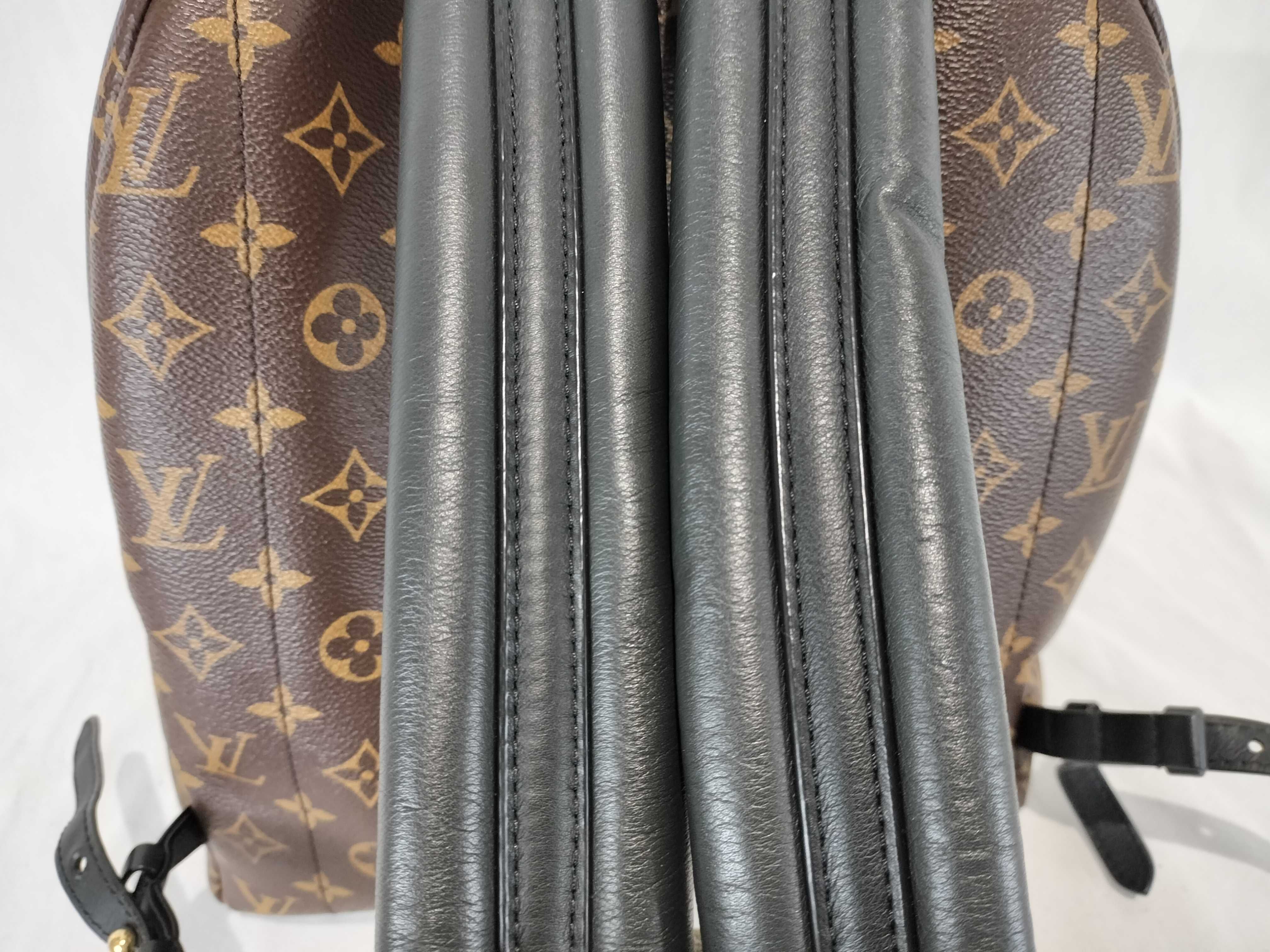 Monogram M41561 Palm Springs MM Rucksack — view 4