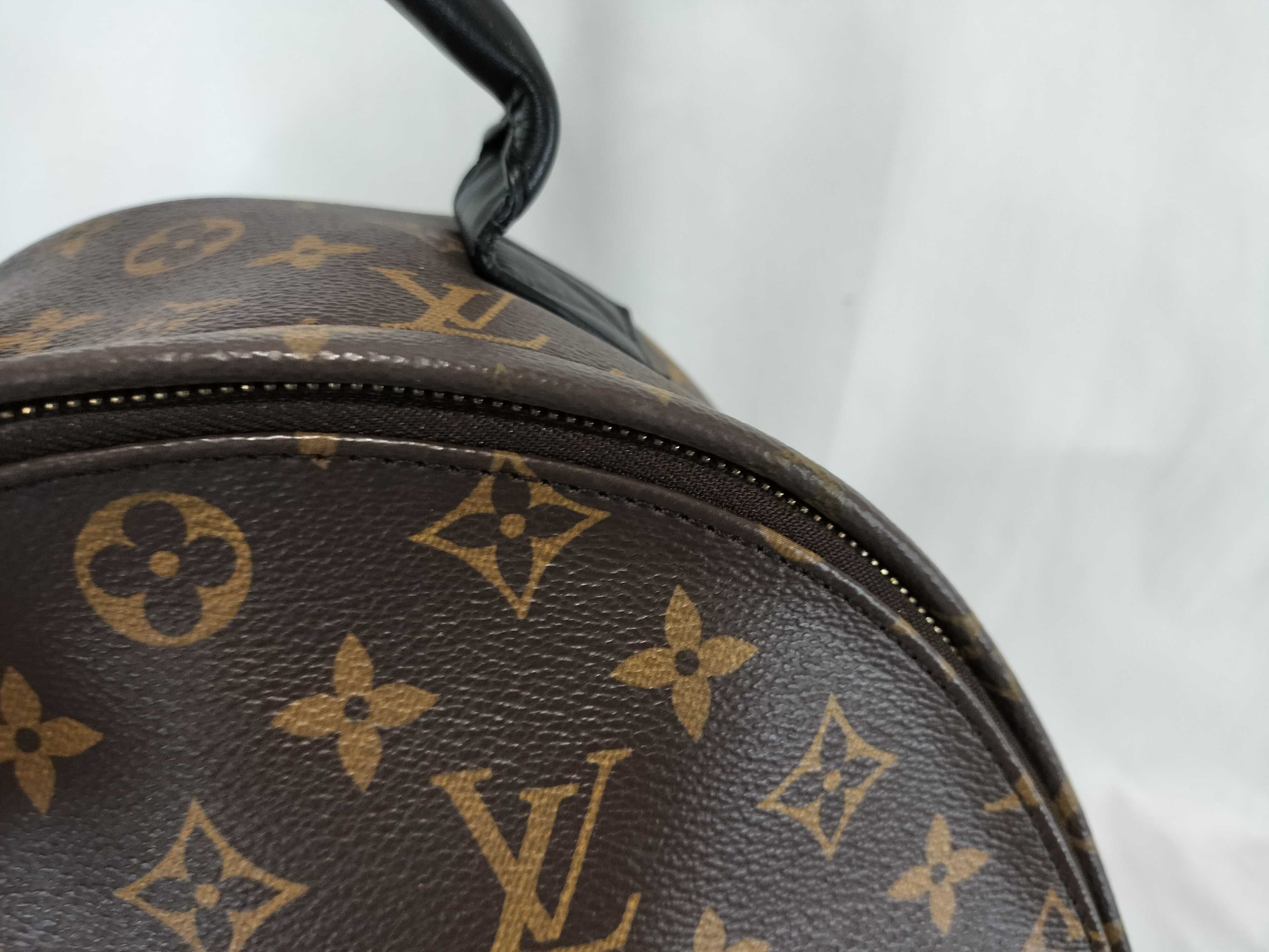 Monogram M41561 Palm Springs MM Rucksack — view 7