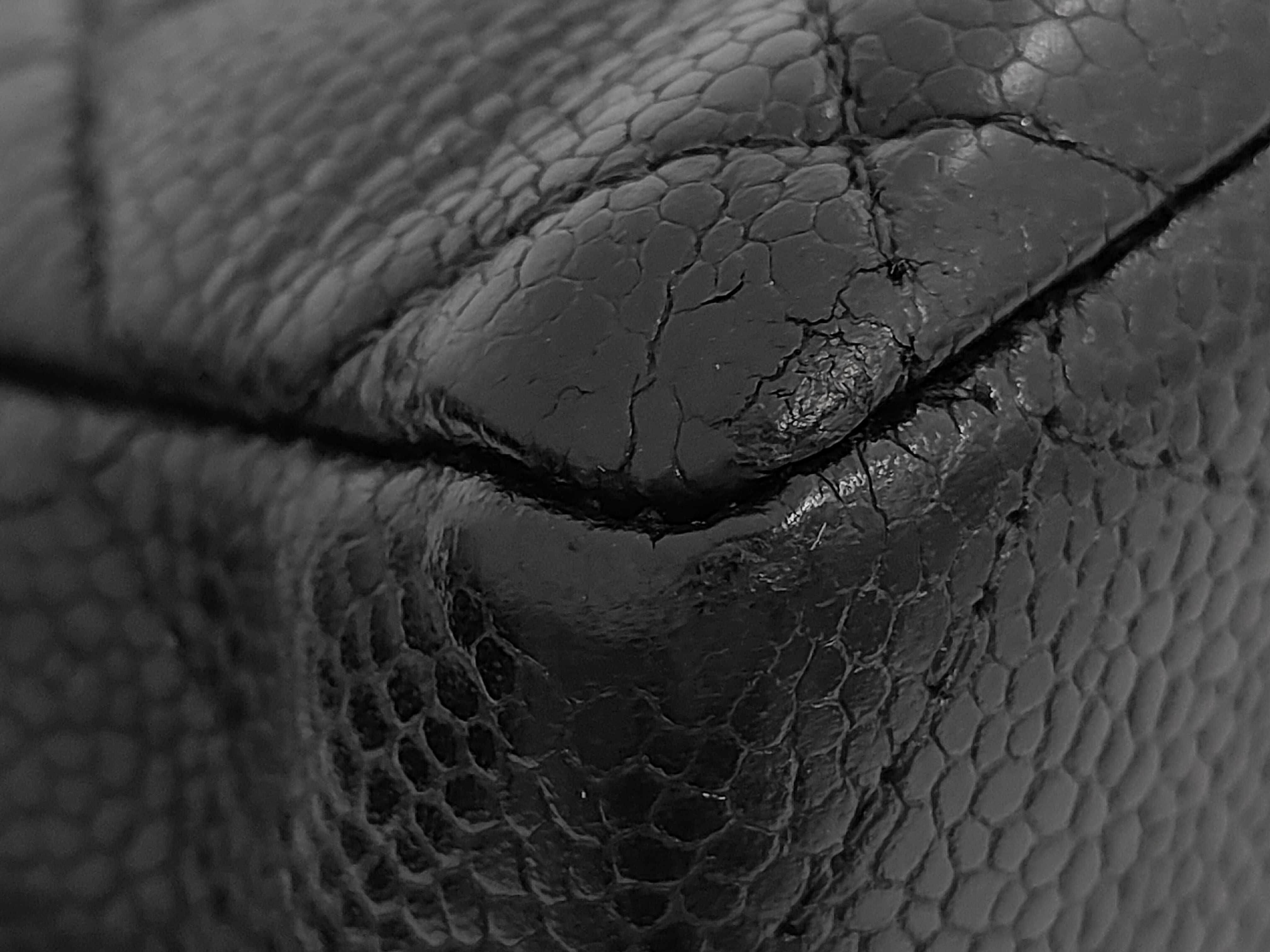 Caviar Skin Shoulder Bag — view 4