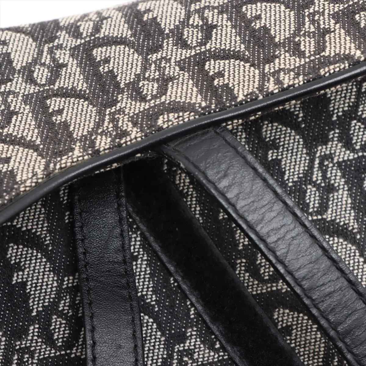 Trotter Saddle Bag Canvas x Leather Handbag Black — view 11