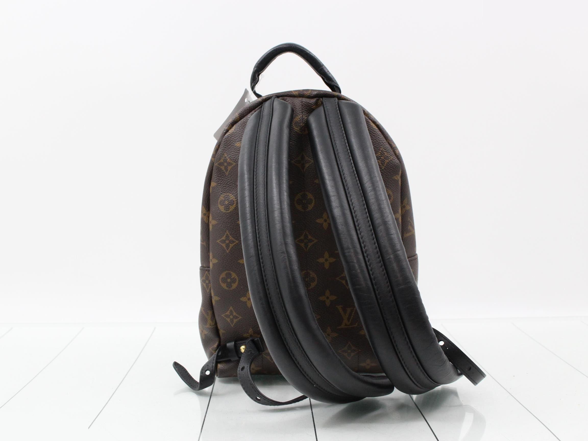 Monogram Reverse Palm Springs Backpack PM (Backpack) — view 2