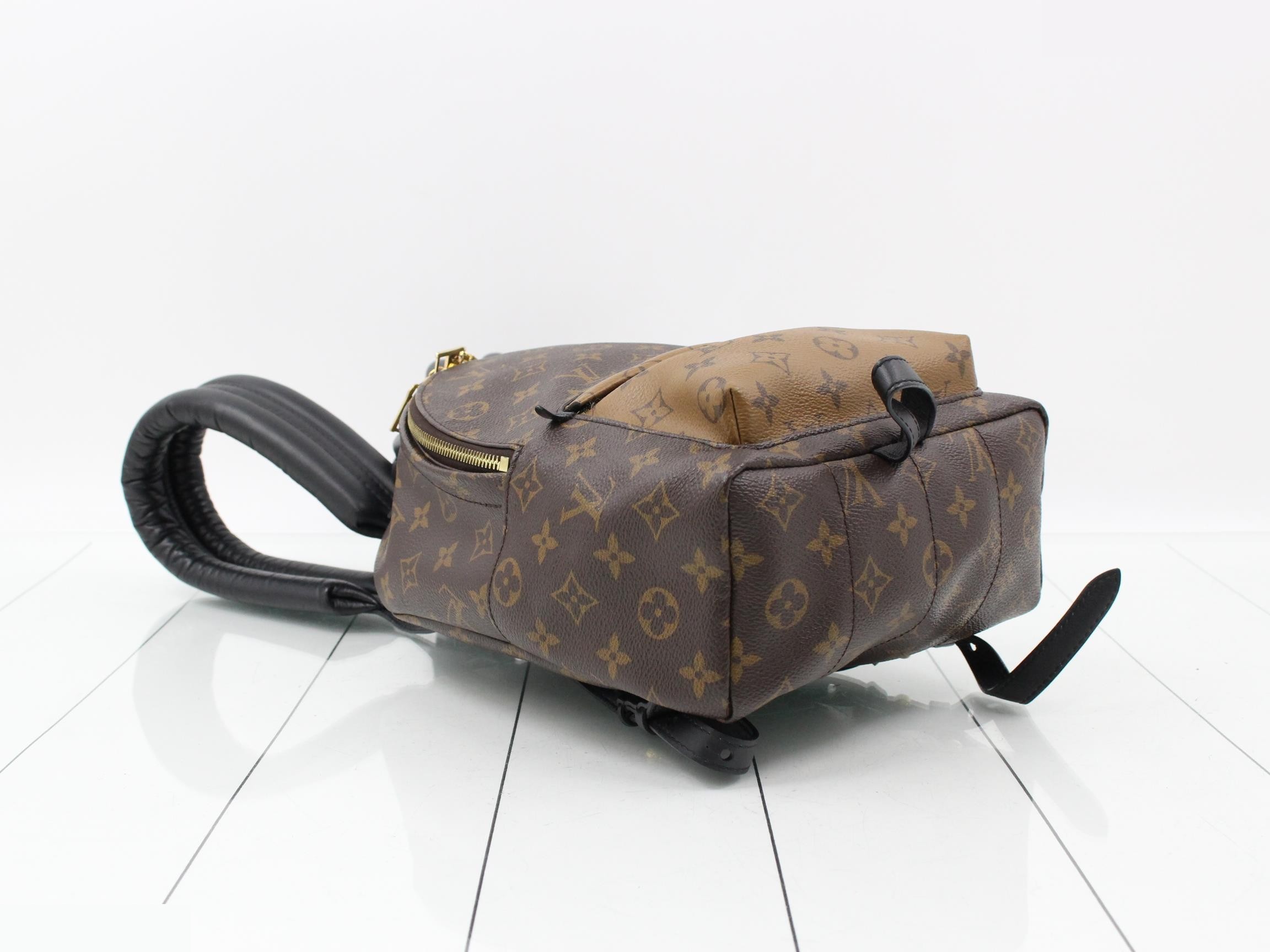 Monogram Reverse Palm Springs Backpack PM (Backpack) — view 5