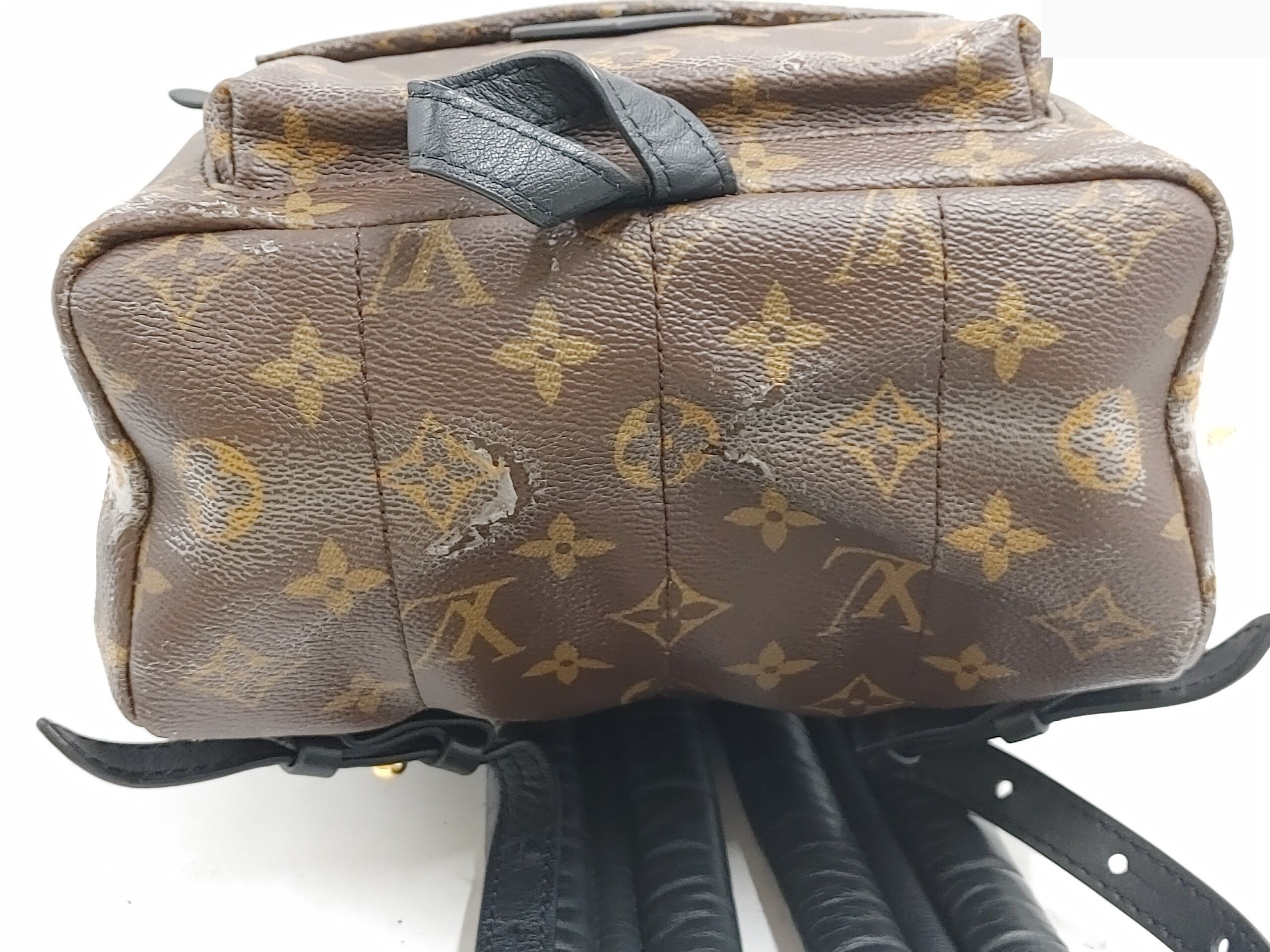 Monogram Palm Springs PM M41560 PL2156 Brown — view 7