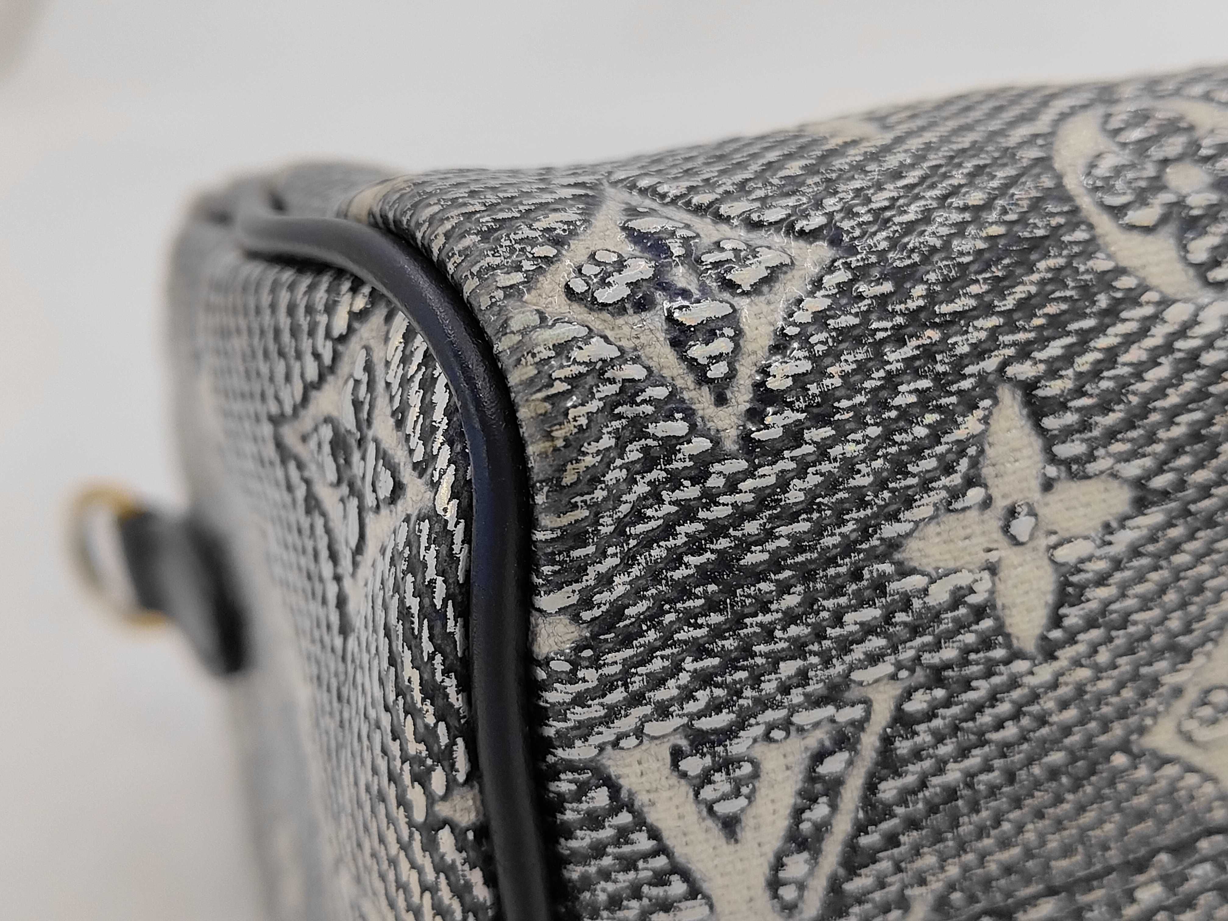 M23069 Louis Vuitton Speedy Bandoulière 20 RFID Monogram Laminated Jacquard Handbag — view 6