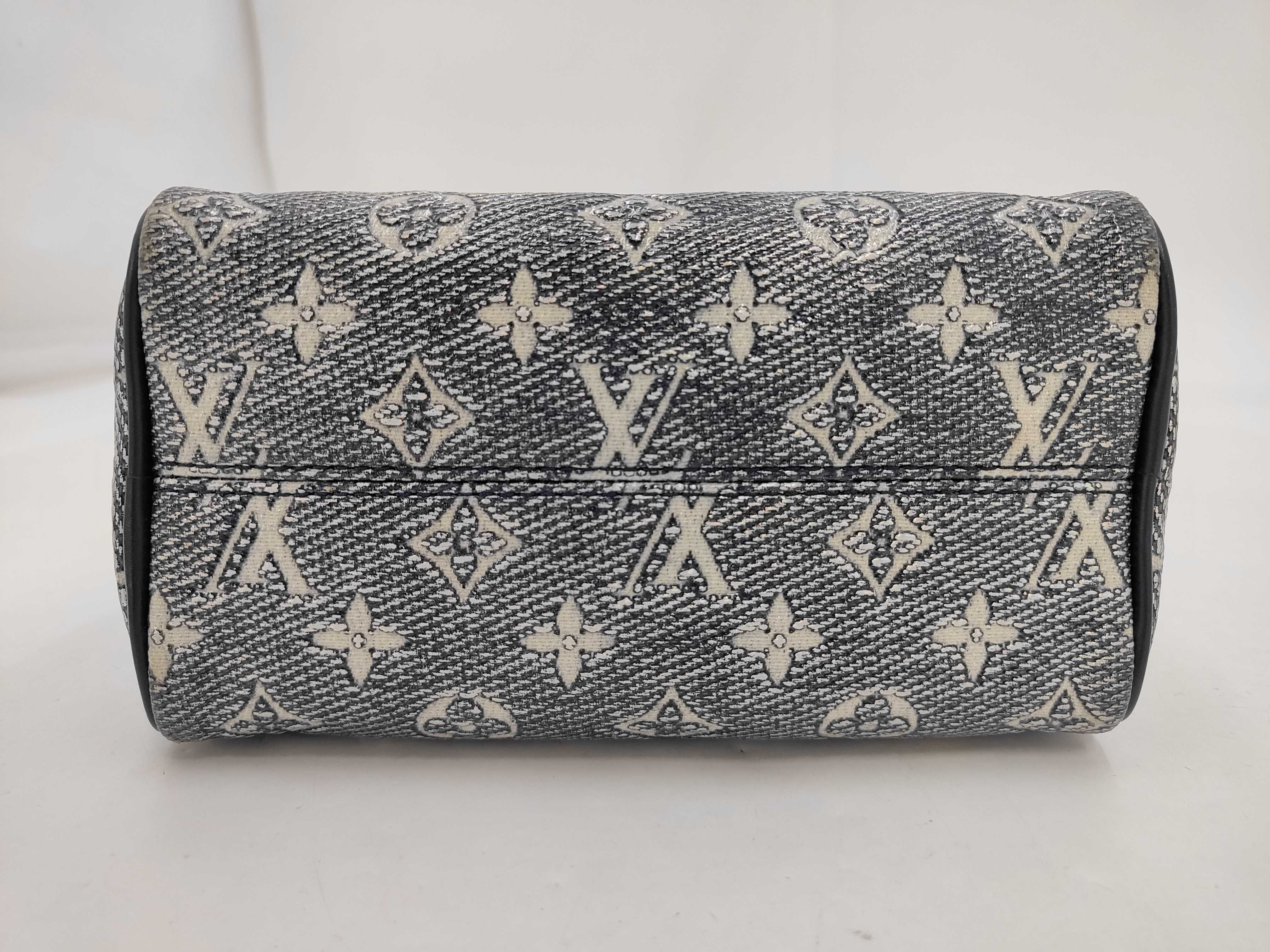 M23069 Louis Vuitton Speedy Bandoulière 20 RFID Monogram Laminated Jacquard Handbag — view 7