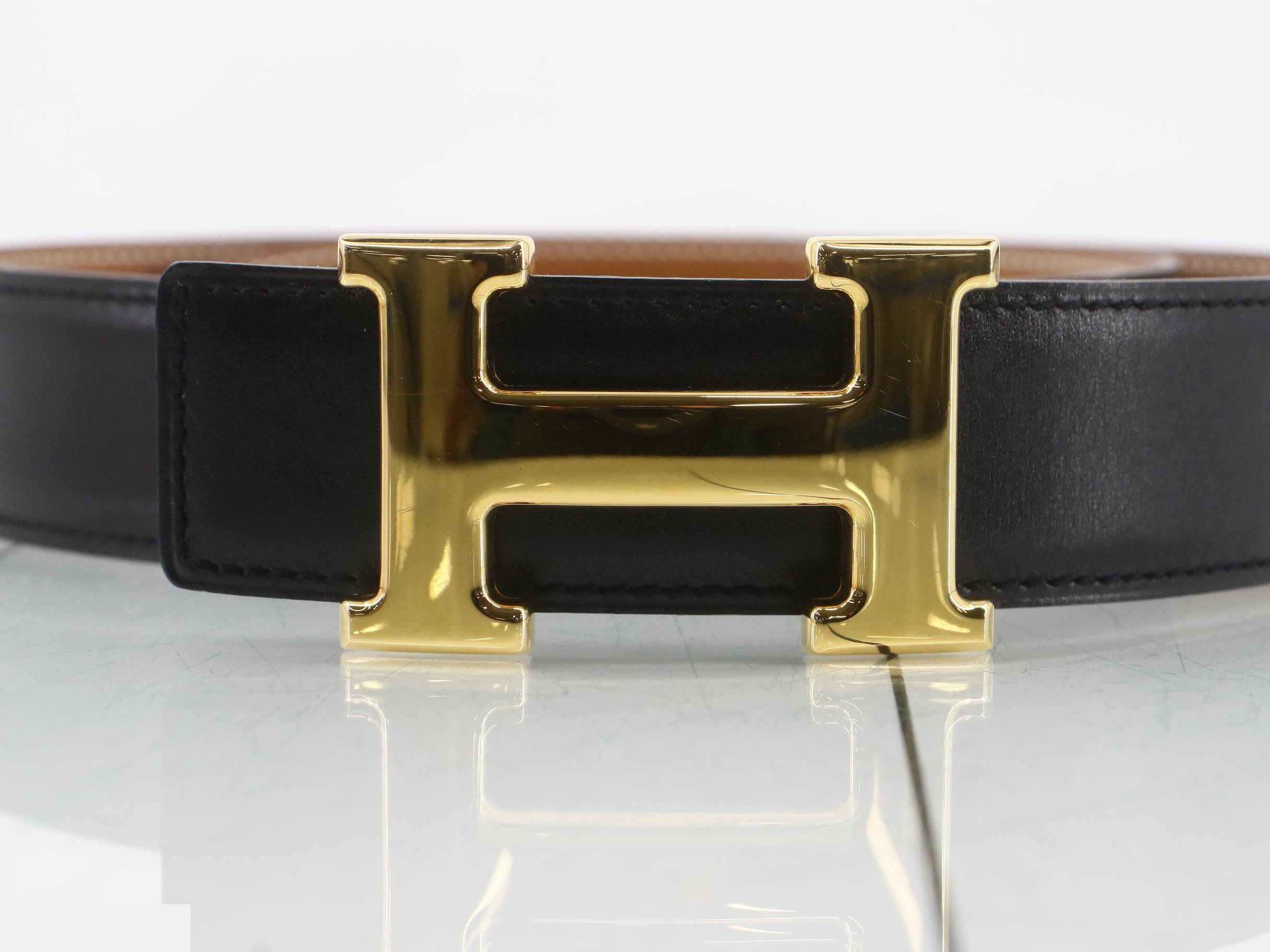 Constance belt with gold buckle — view 3
