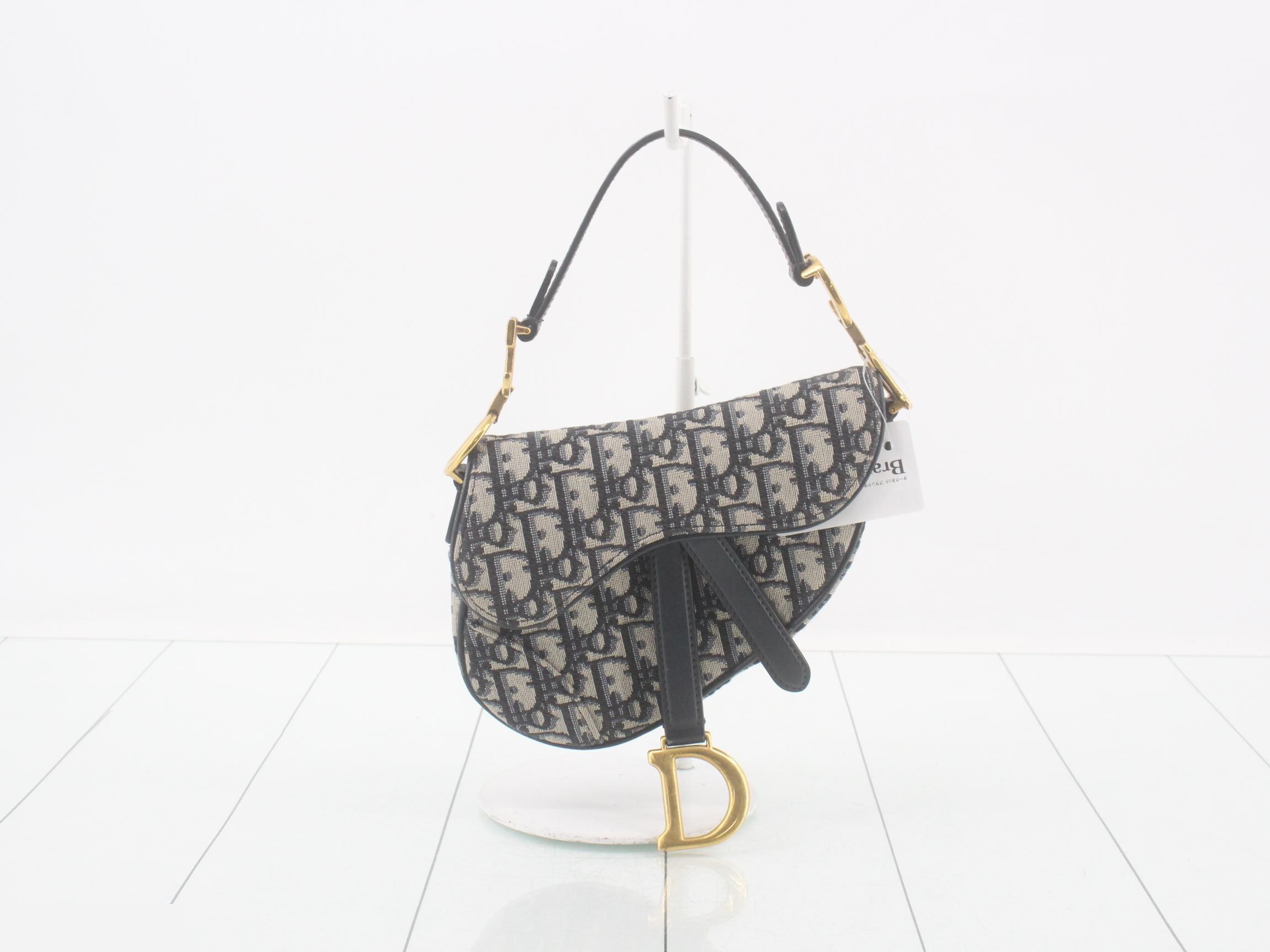 Saddle Oblique Canvas Handbag