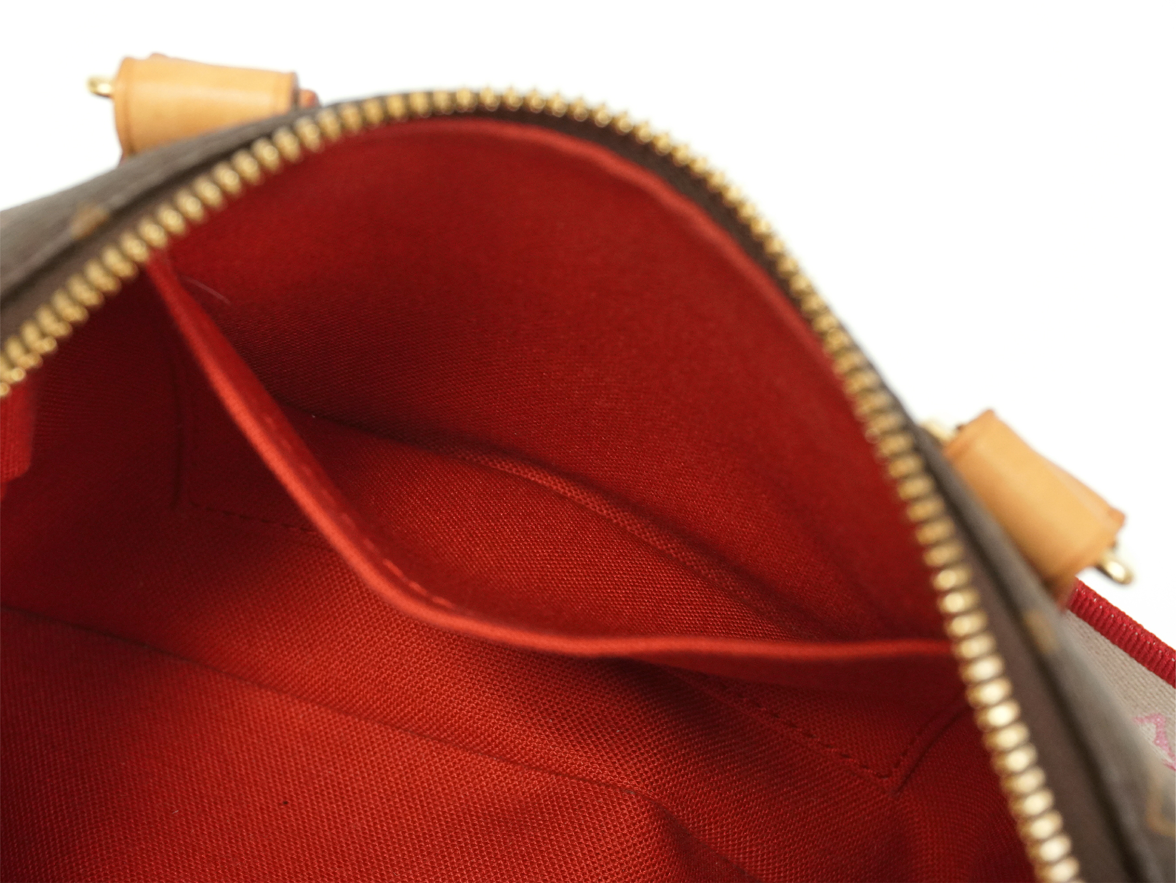 Monogram Speedy Bandoulière 20 M46234 2-way Shoulder Bag — view 6
