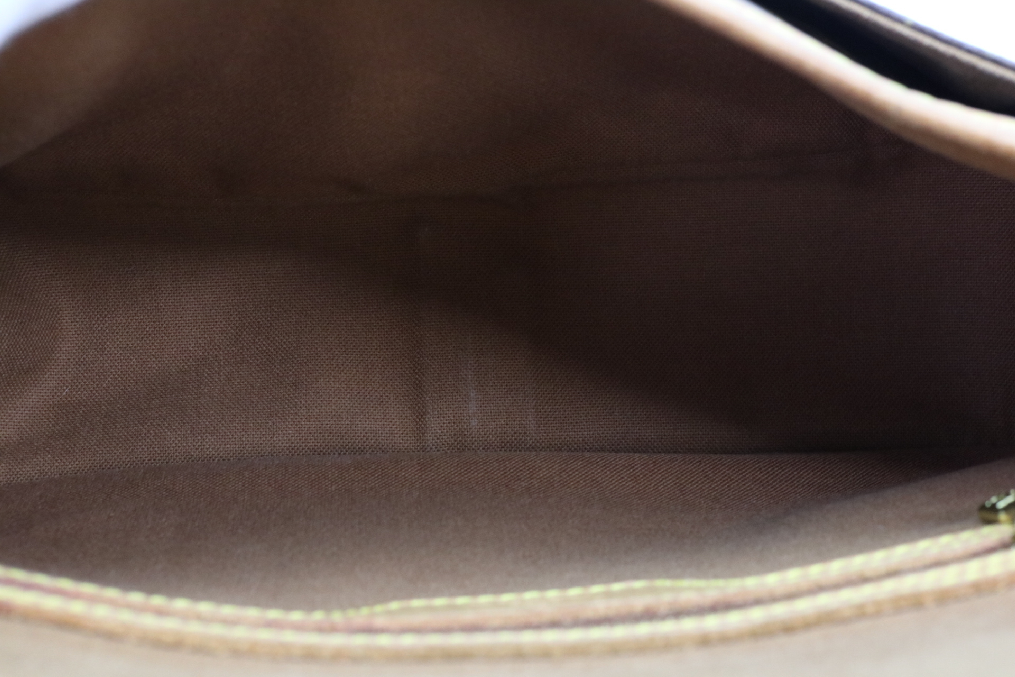 Monogram Sologne Shoulder Bag — view 9