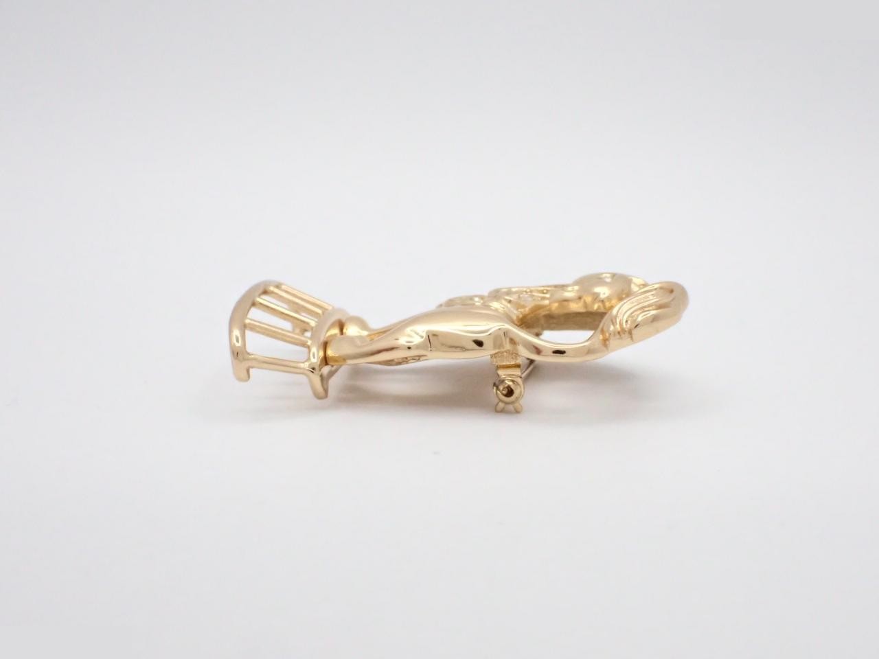 Other lines: Precious metals and rhinestones, brooches, lion motif. — view 3