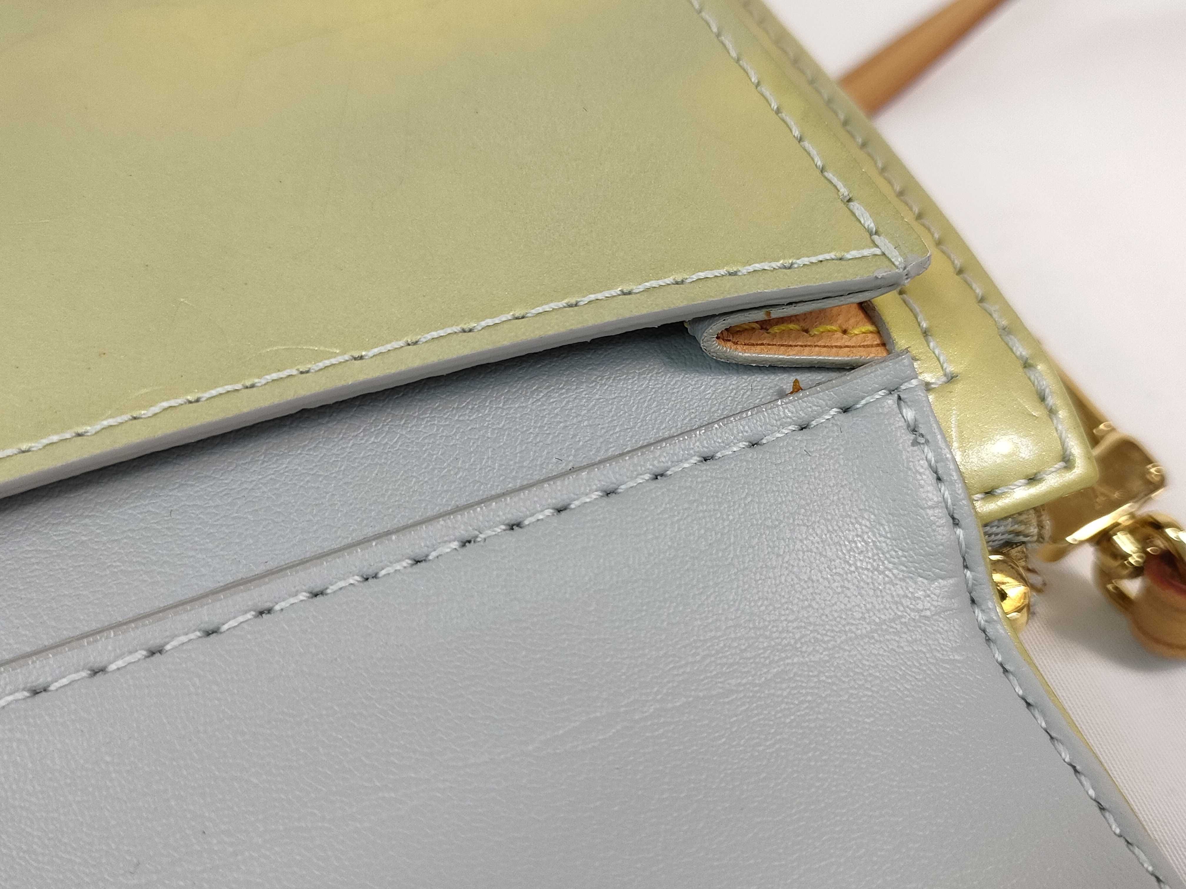 Vernis Mott Shoulder Bag — view 11
