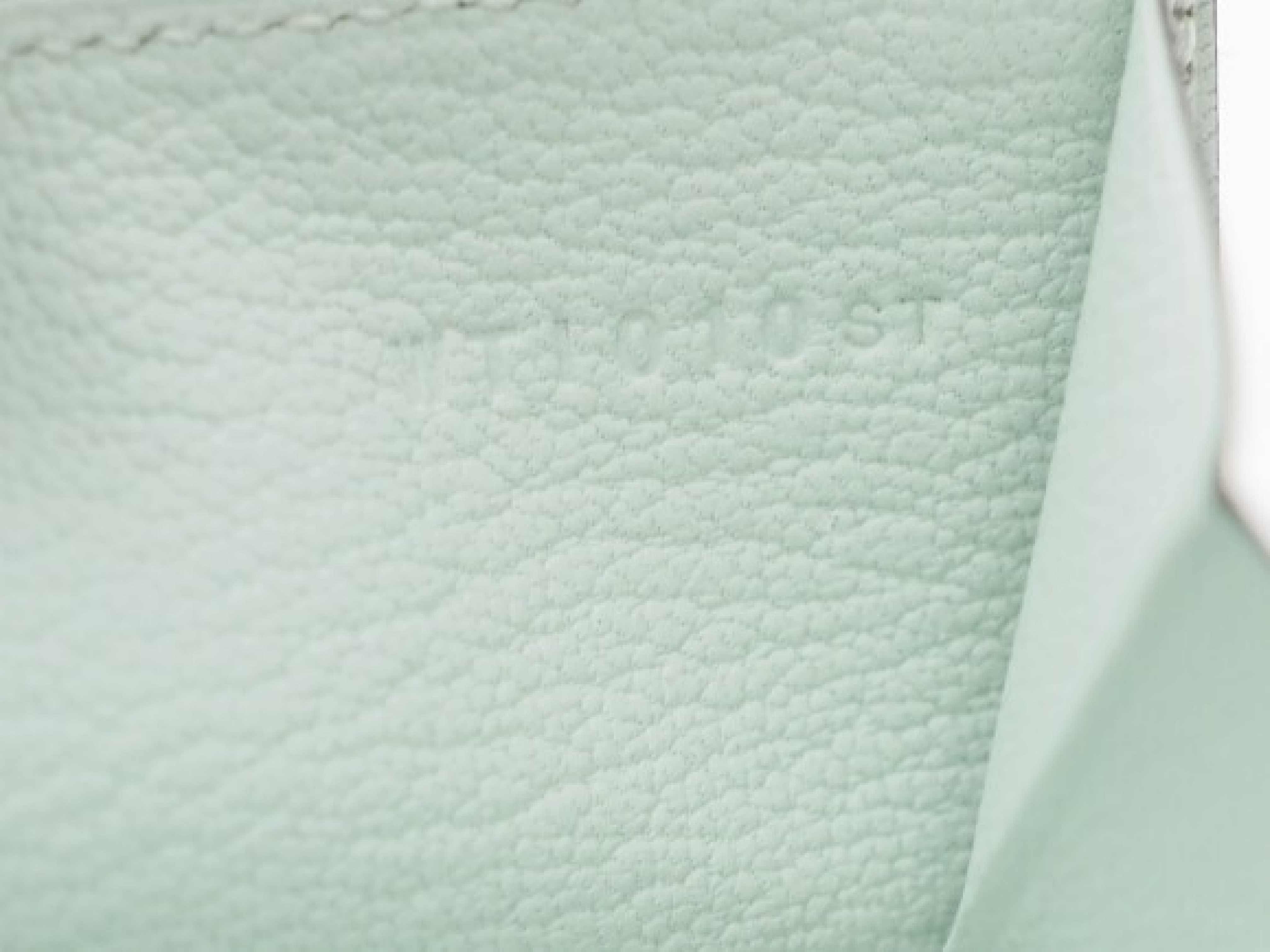 Bearn Soufflé, 2024 model, Chevre Mysore, Vert Fizz (light white-green), silver hardware, W stamp, wallet. — view 8