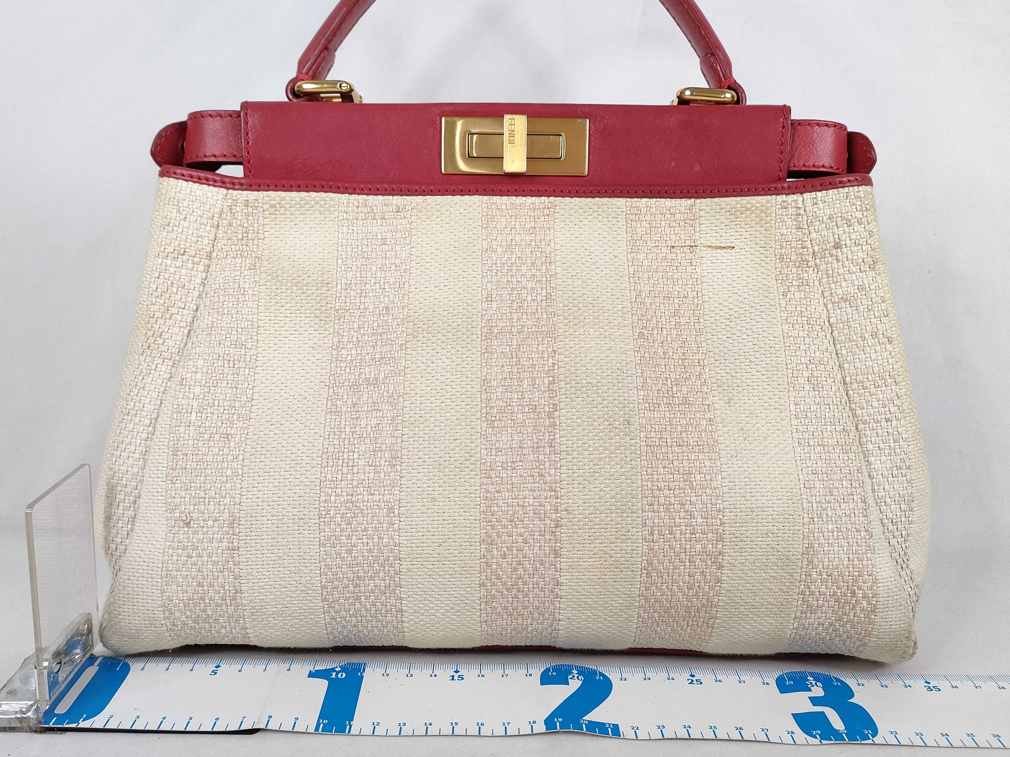 Peekaboo Regular Canvas x Leather 2-Way Handbag 8BN226 Accessories: Shoulder strap, dust bag, handbag — view 2