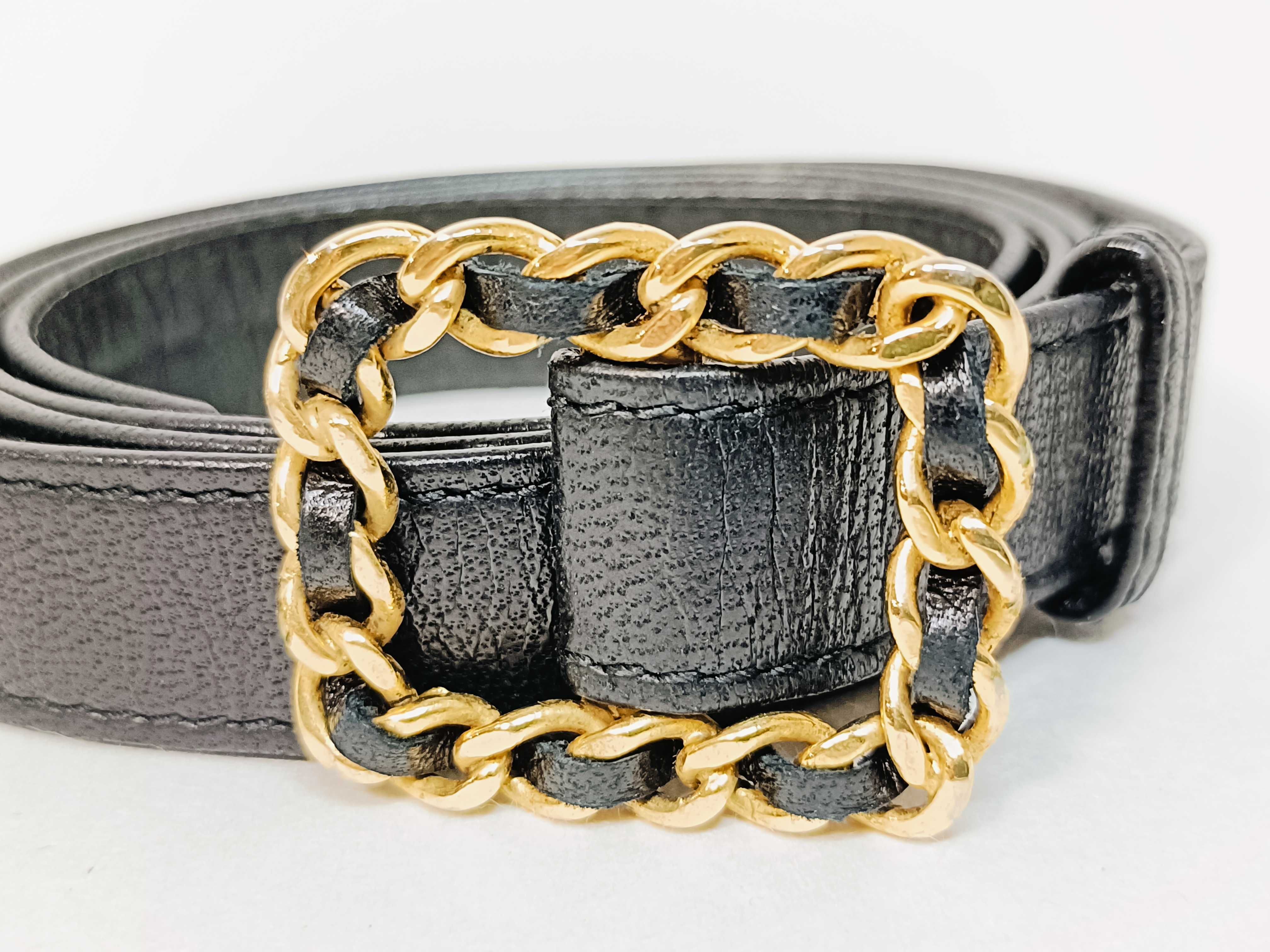 Chain Belt 95 — view 2