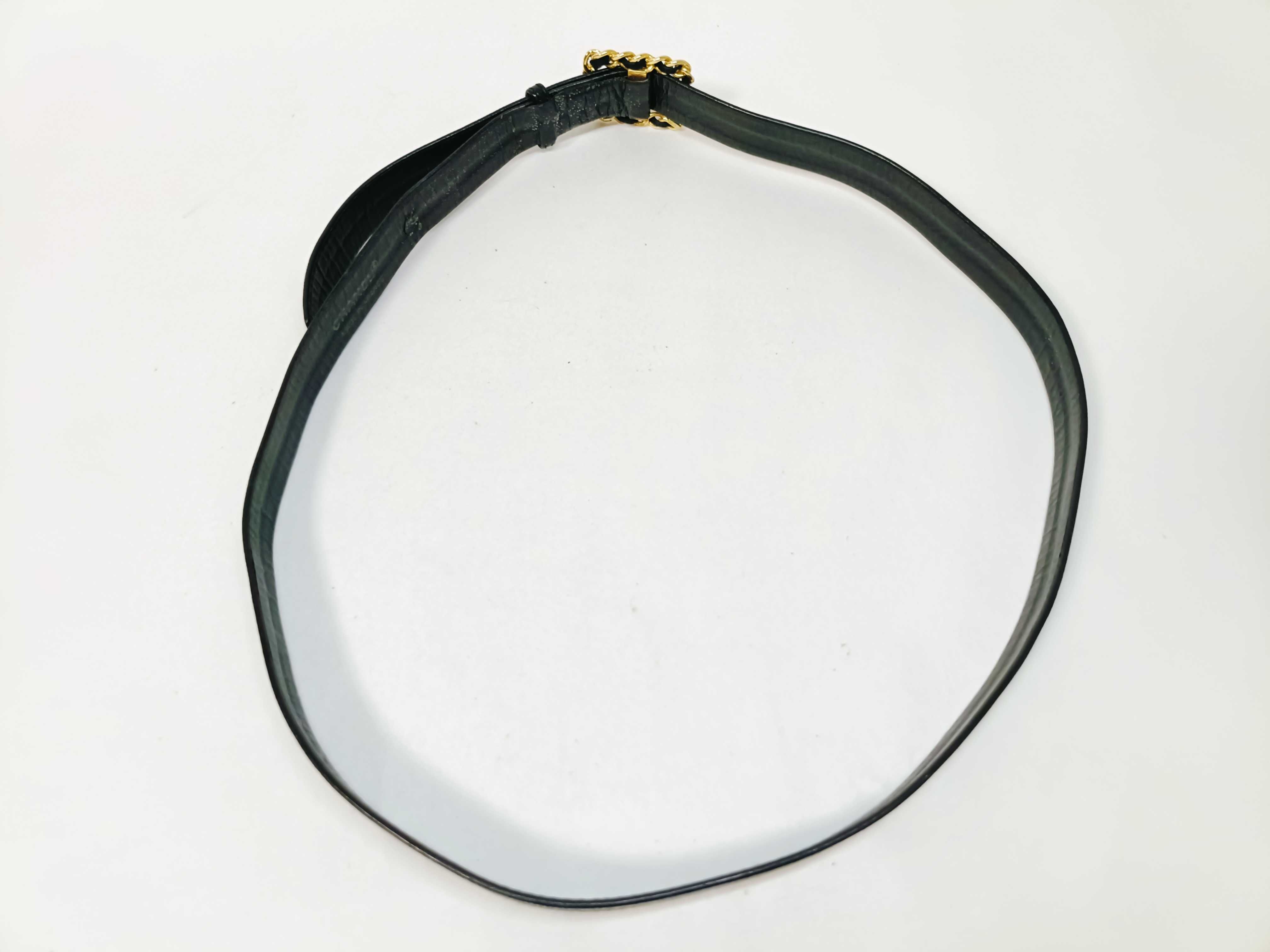 Chain Belt 95 — view 3