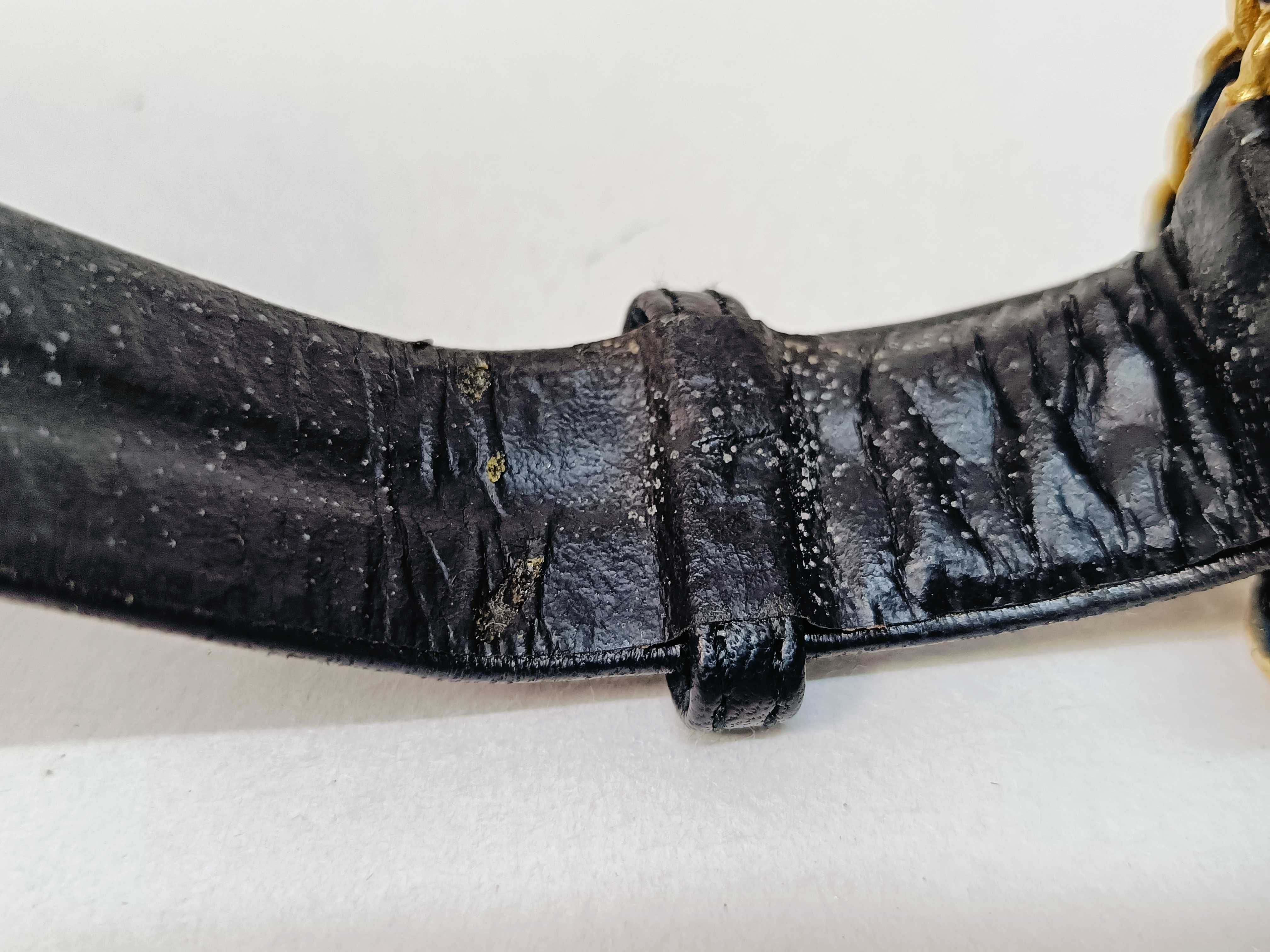 Chain Belt 95 — view 7