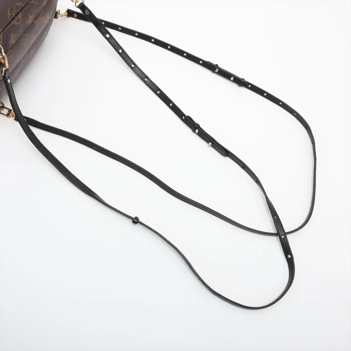 Monogram Palm Springs Backpack MINI M44873 CA1109 Brown (RFID detected) — view 6